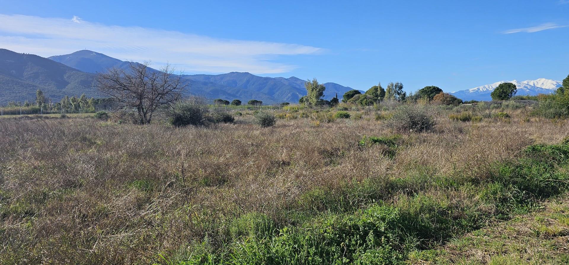 Terrain agricole à Saint-André (66690) - Saint-André · 13 000 €