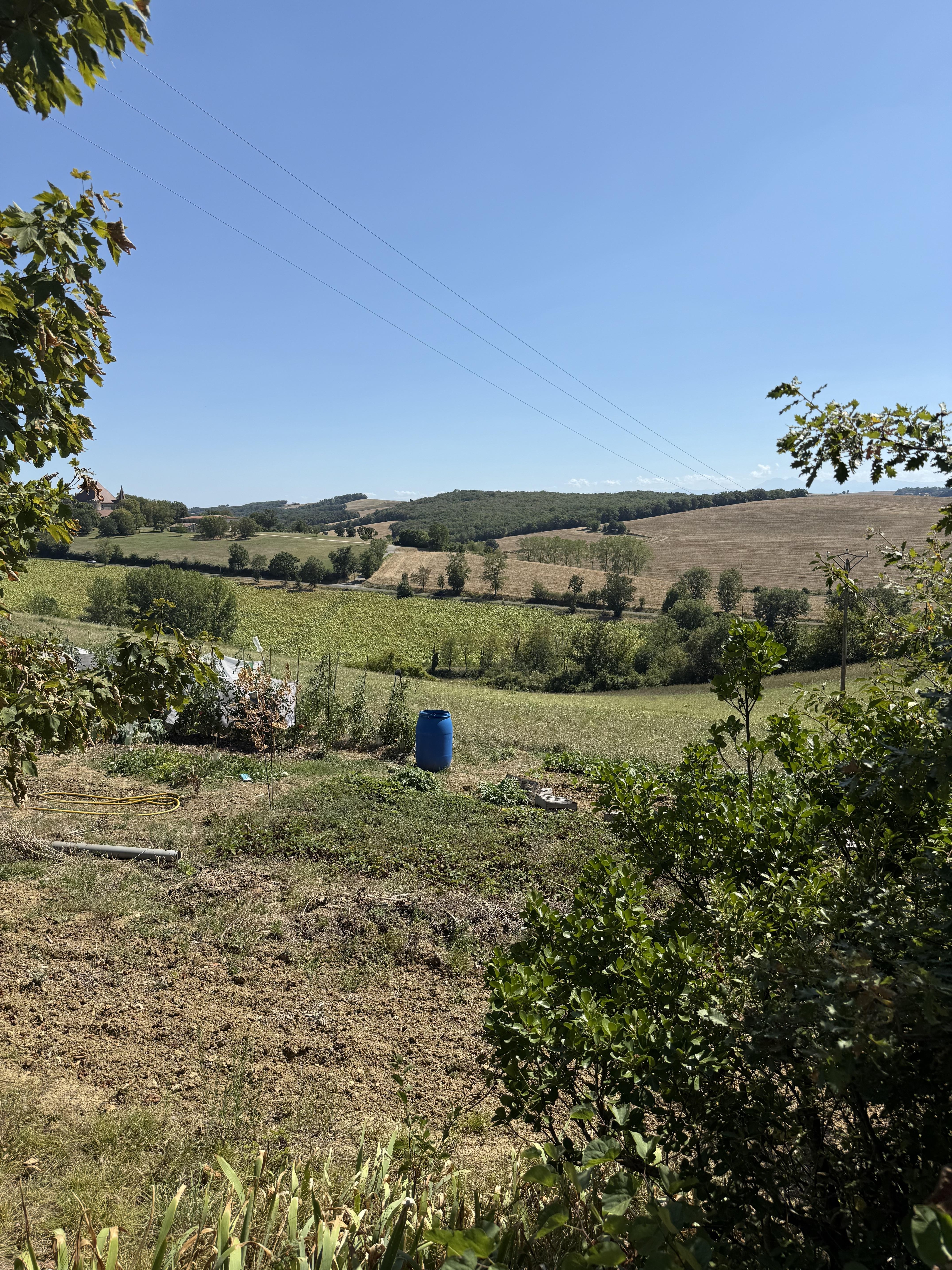 Terrain à Marquein (11410) - Marquein · 35 000 €