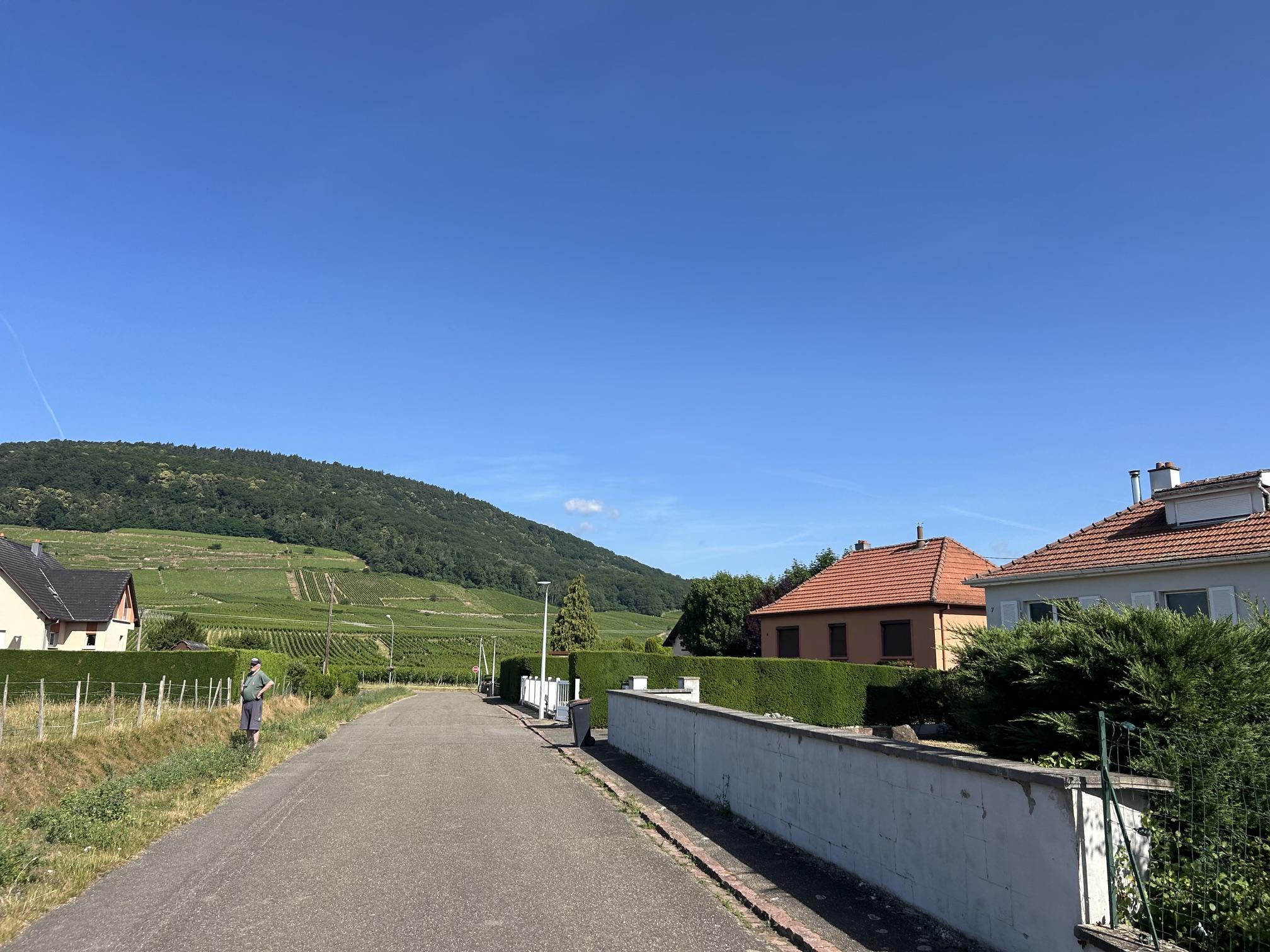 Terrain constructible à Bergholtz (68500) - Bergholtz · 159 000 €