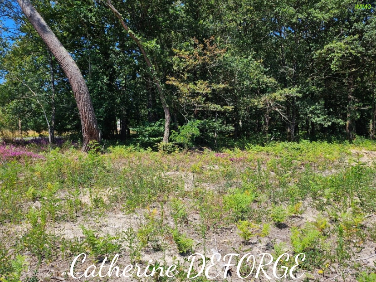 Terrain constructible à Civrac-de-Blaye (33920) - Civrac-de-Blaye · 60 000 €