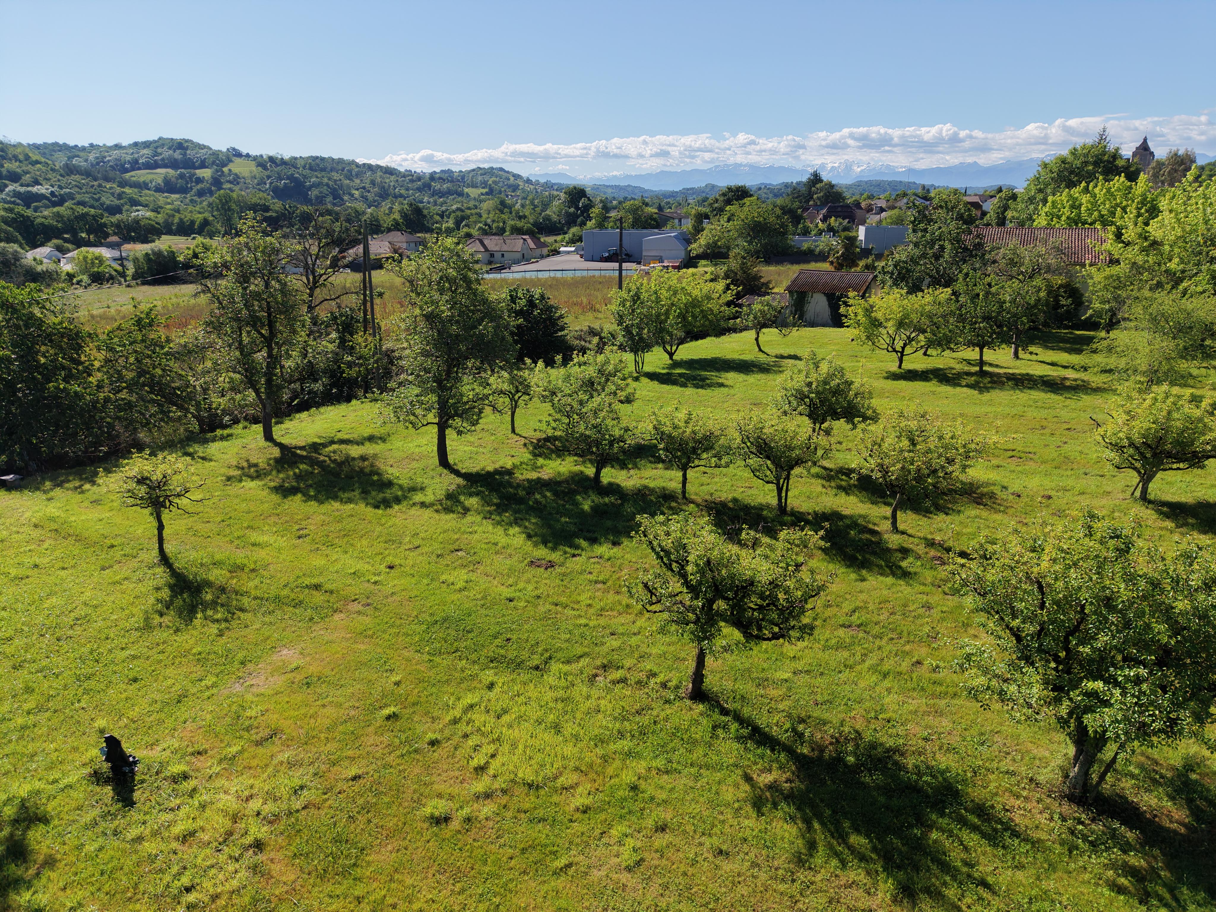 Terrain 1175 m² · à Monein · 54 500 €