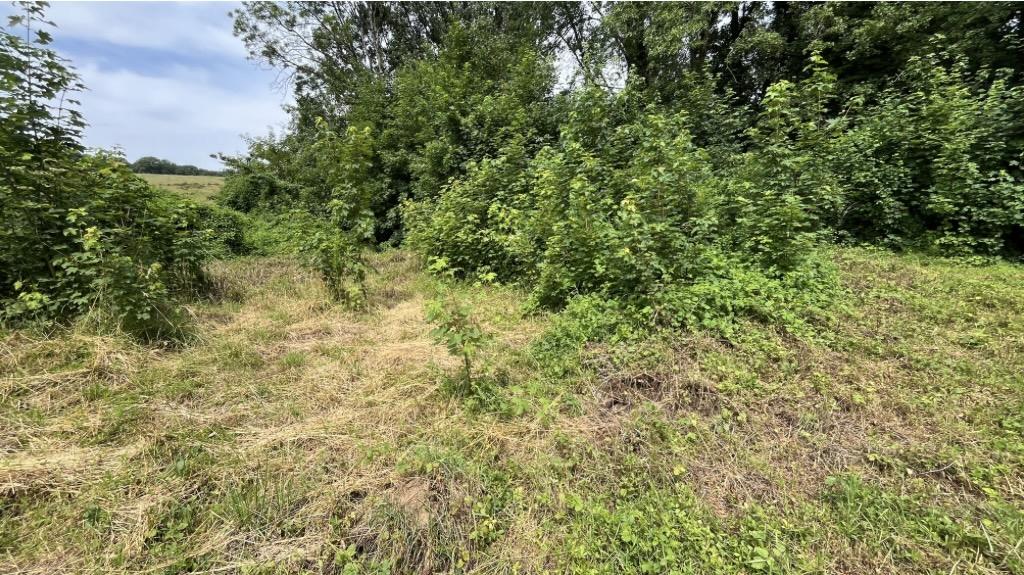 Terrain constructible à Mercy-le-Bas (54960) - Mercy-le-Bas · 65 000 €