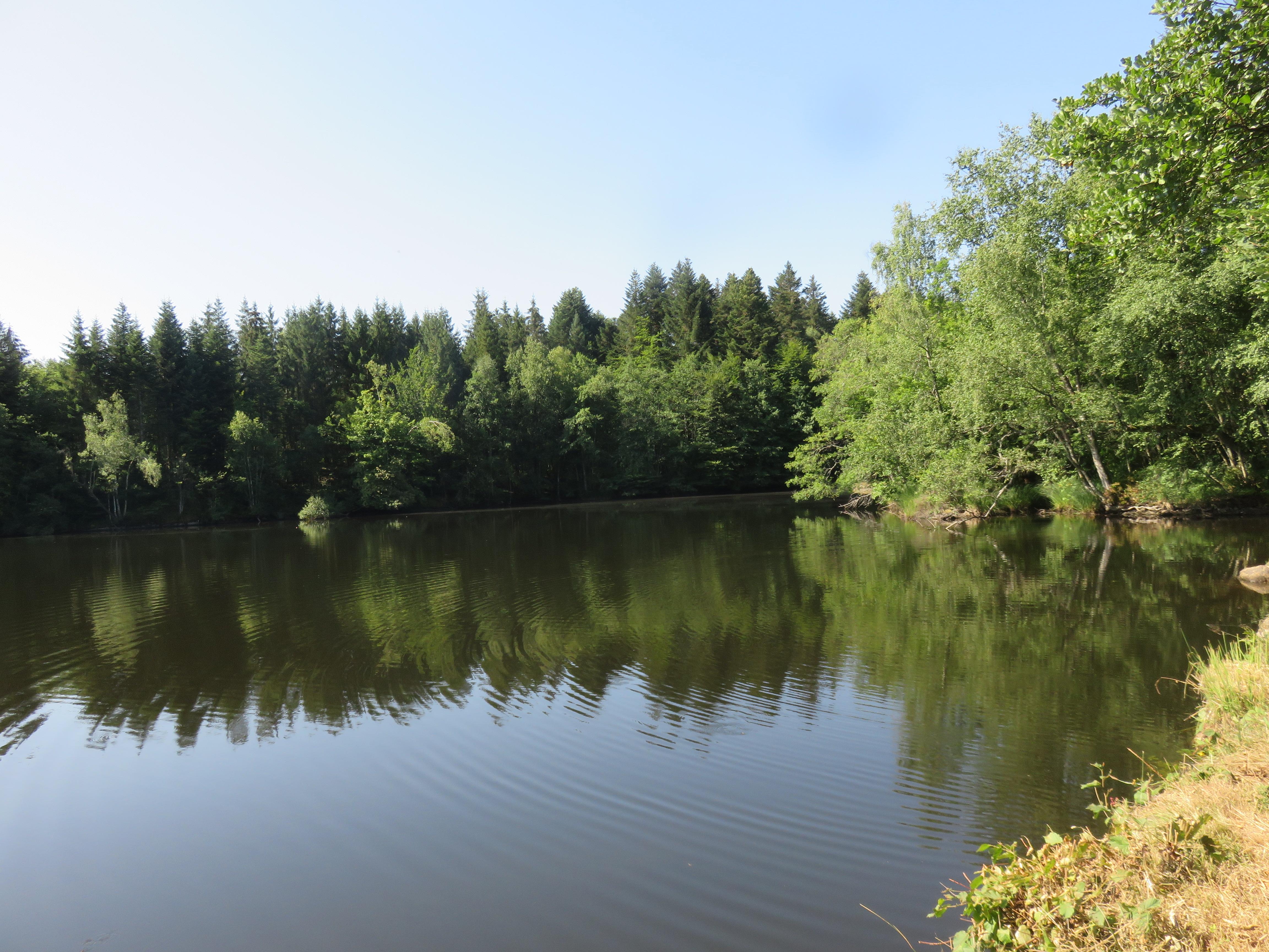 Terrain de loisirs à Servance-Miellin (70440) - Servance-Miellin · 139 000 €