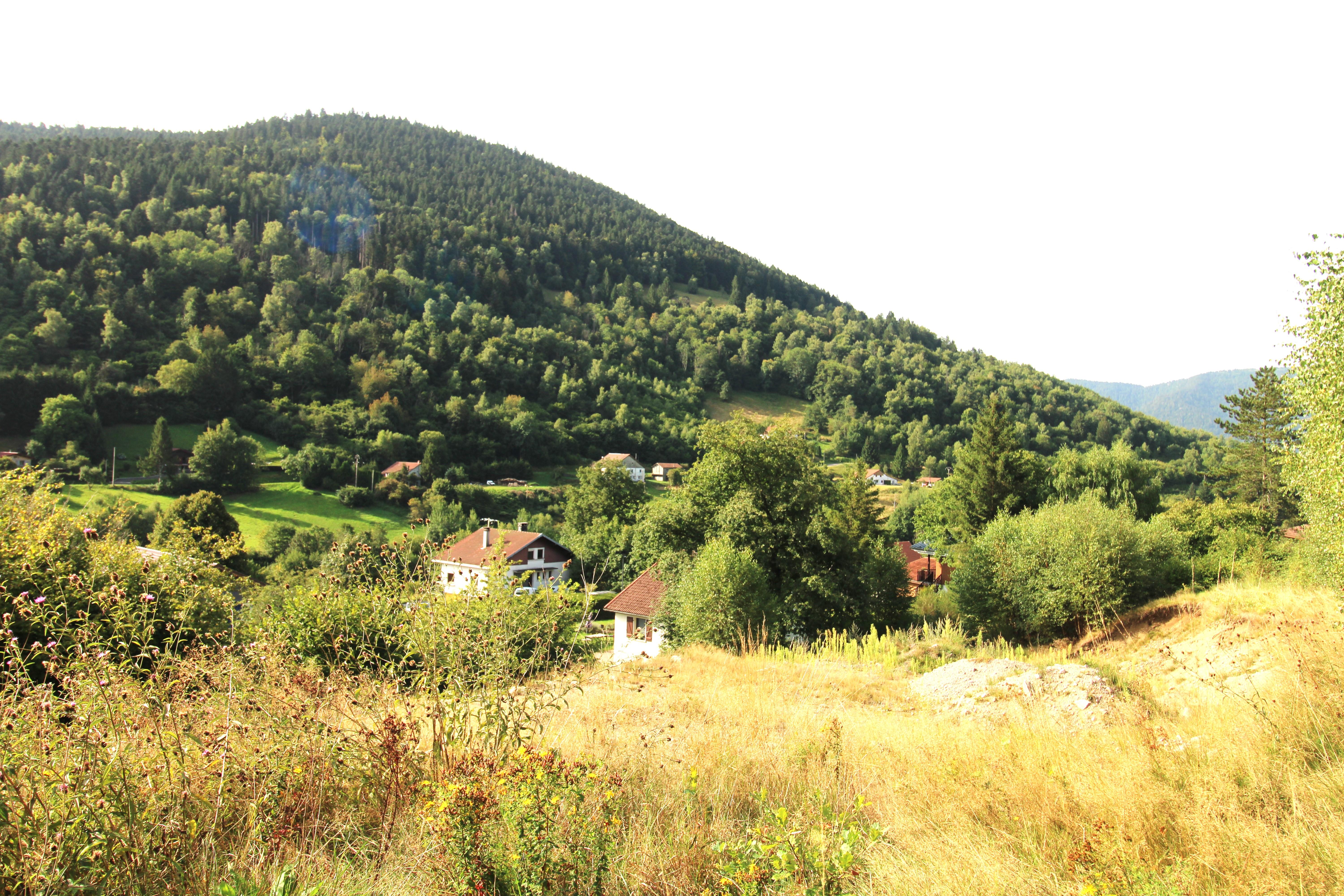 Terrain à Bussang (88540) - Bussang · 50 000 €