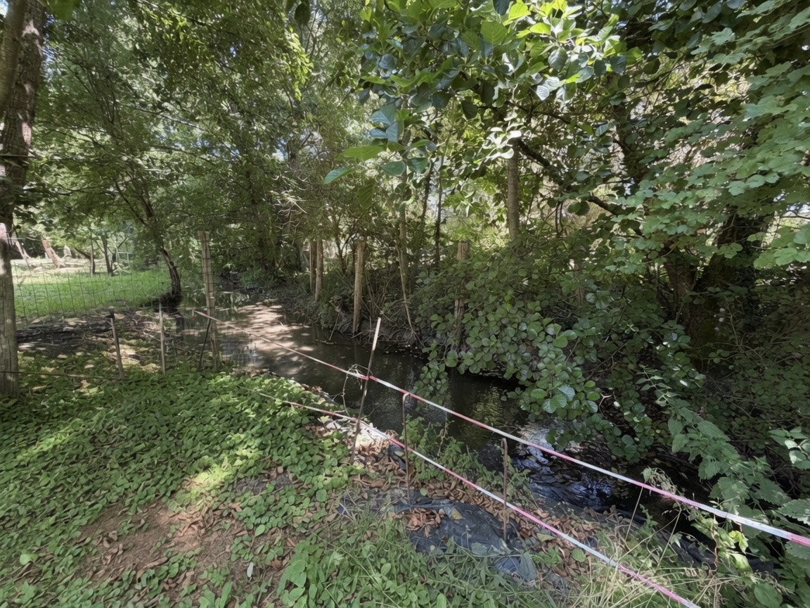 Terrain constructible à Nonville (77140) - Nonville · 35 000 €