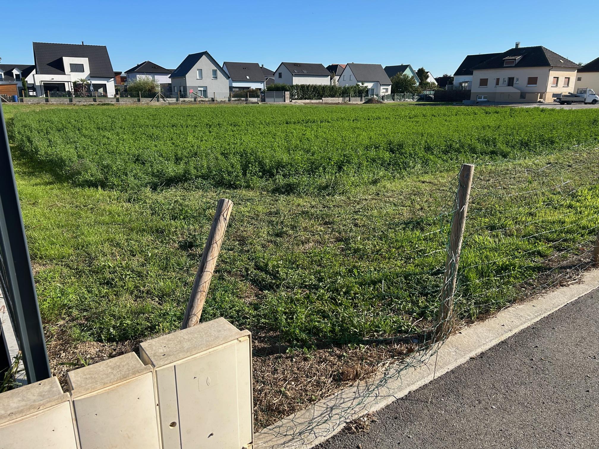 Terrain constructible à Biltzheim (68127) - Biltzheim · 125 160 €