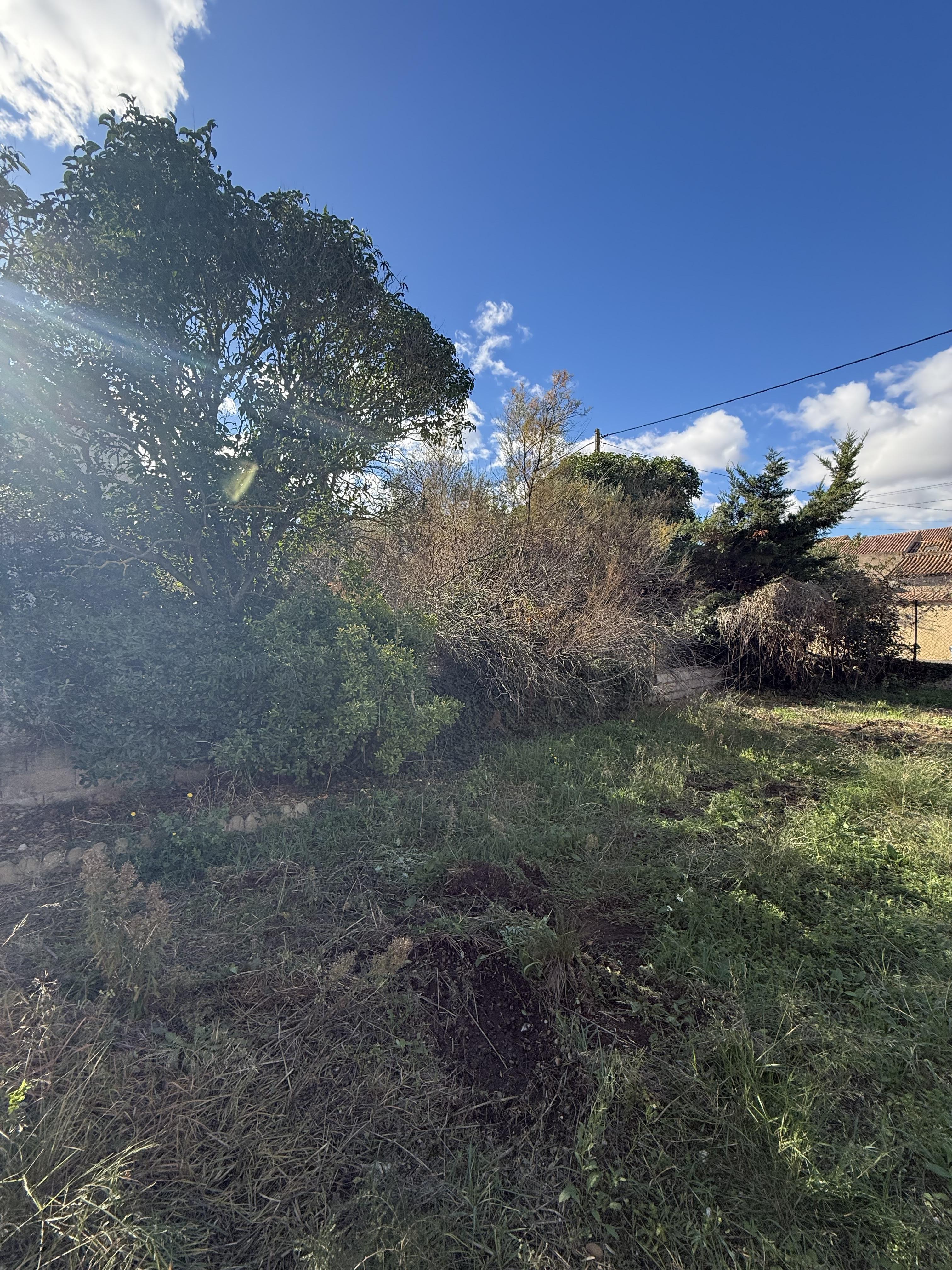 Terrain constructible à Maraussan (34370) - Maraussan · 119 000 €