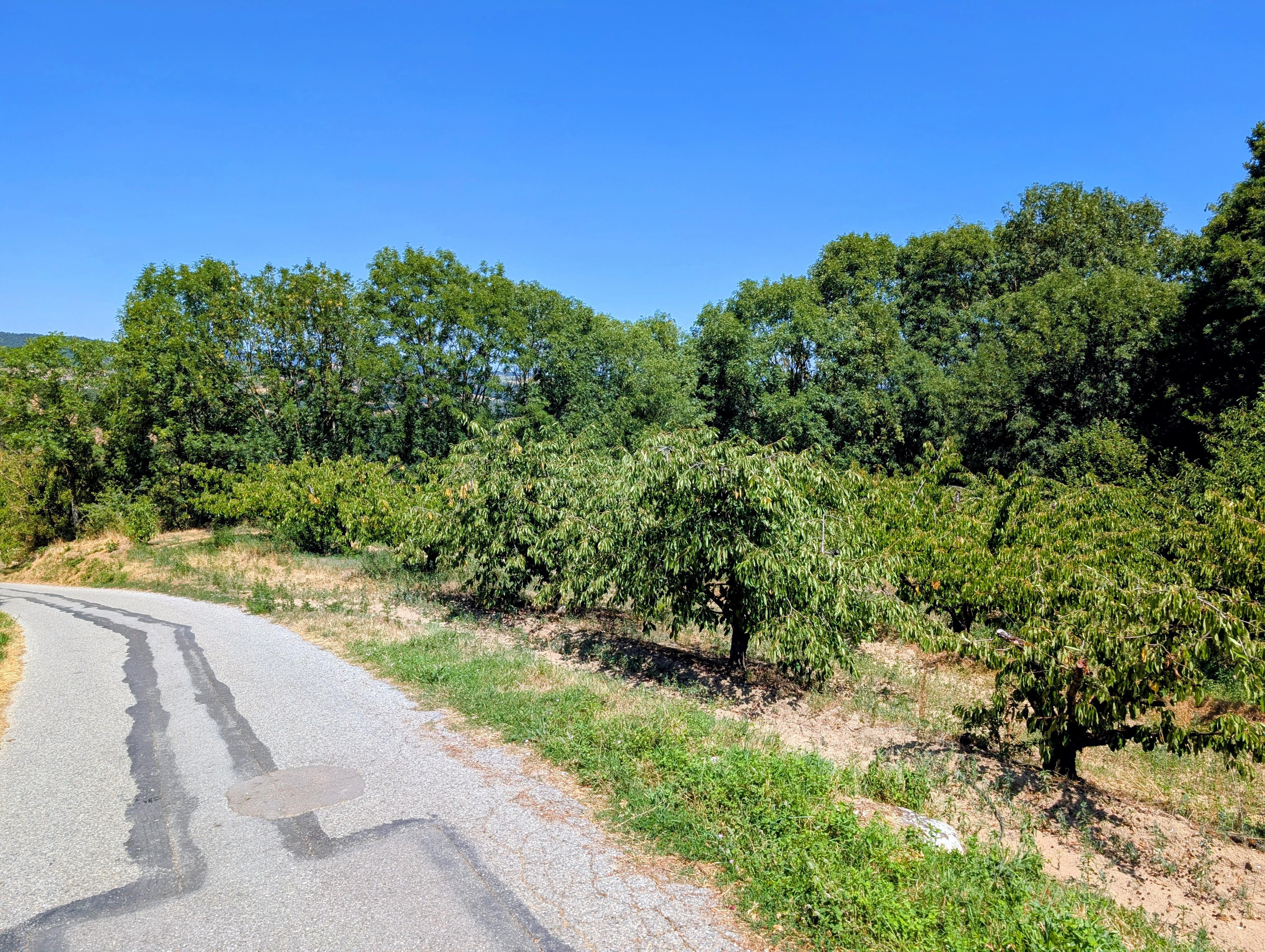 Terrain constructible à Le Crestet (07270) - Le Crestet · 67 540 €