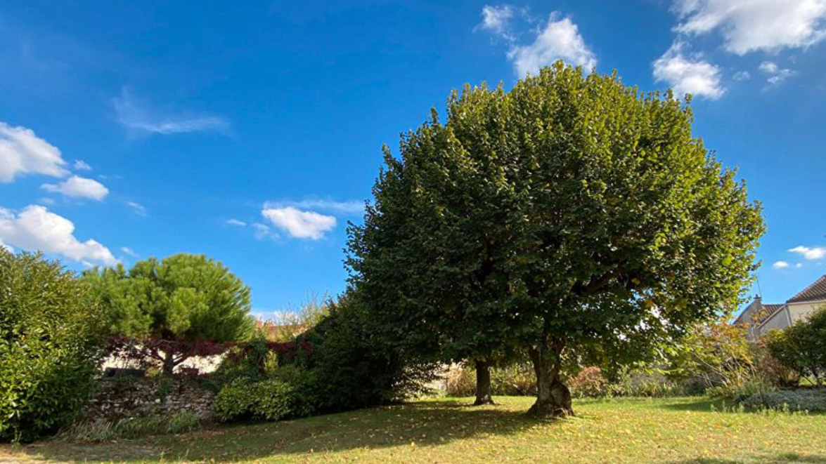 Maison 12 pièces 350 m² · à Le Coudray-Montceaux · 350 m² · 630 000 €