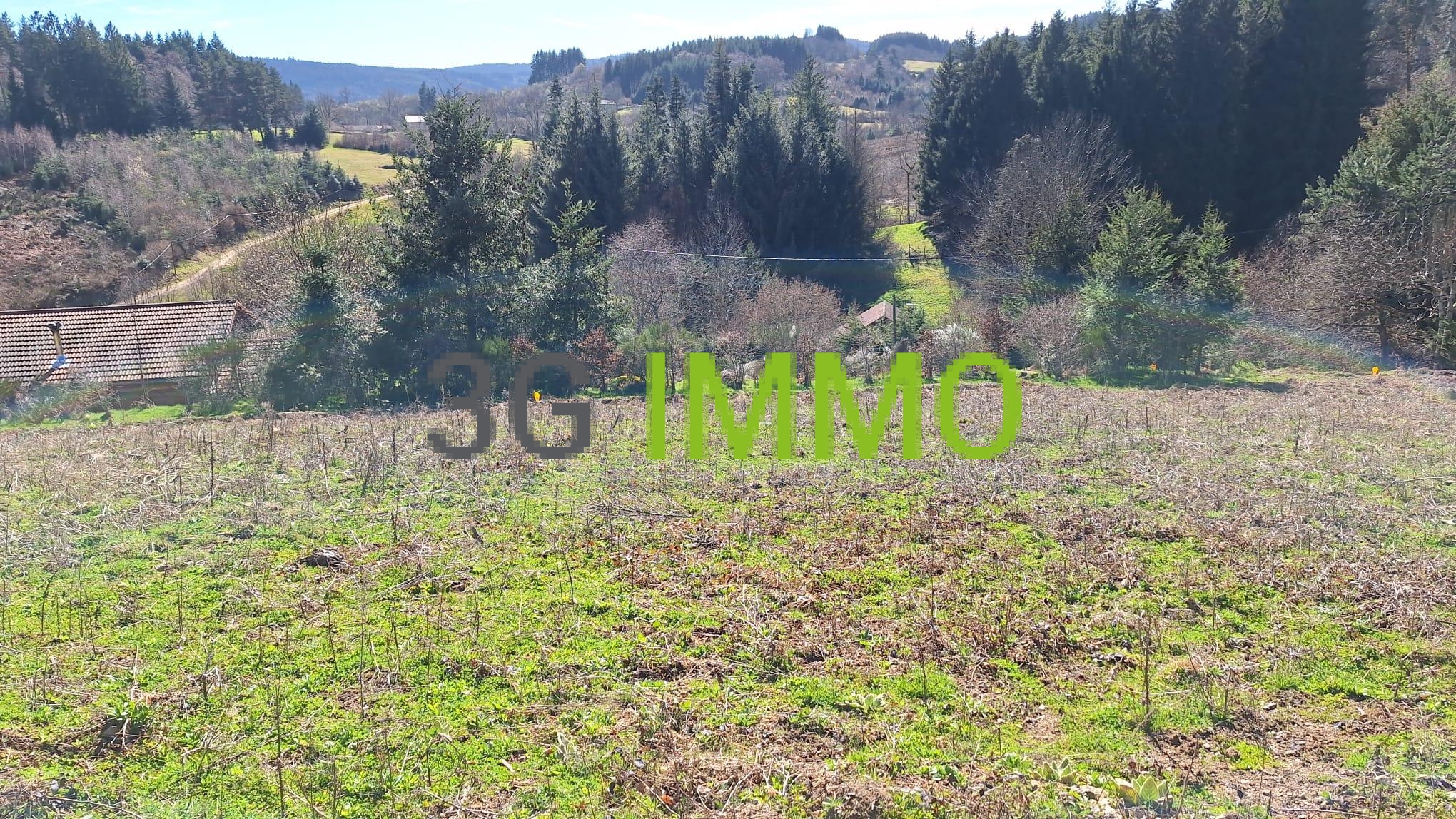 Terrain à Le Monestier (63890) - Le Monestier · 36 000 €