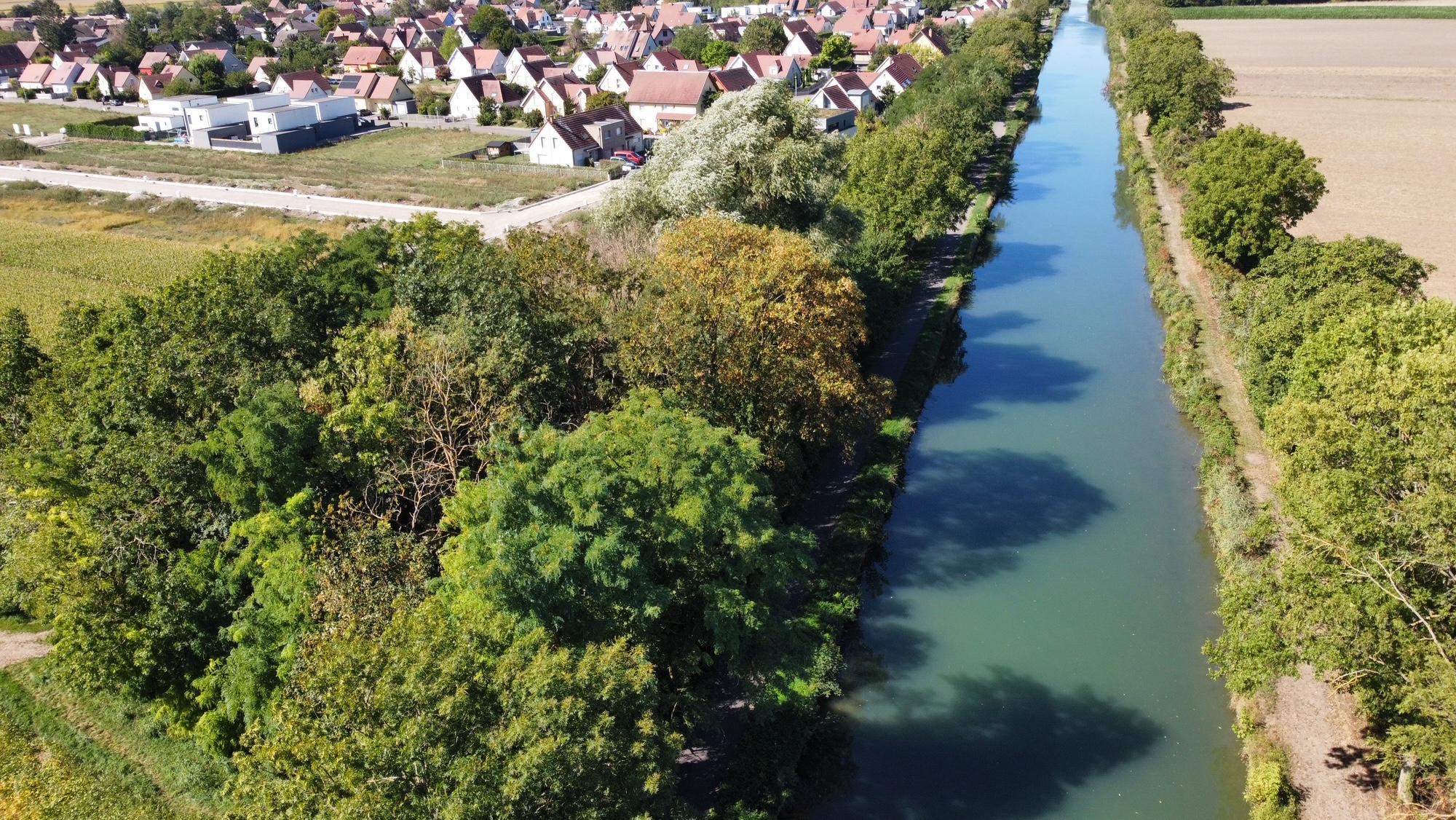 Terrain constructible à Muntzenheim (68320) - Muntzenheim · 88 200 €