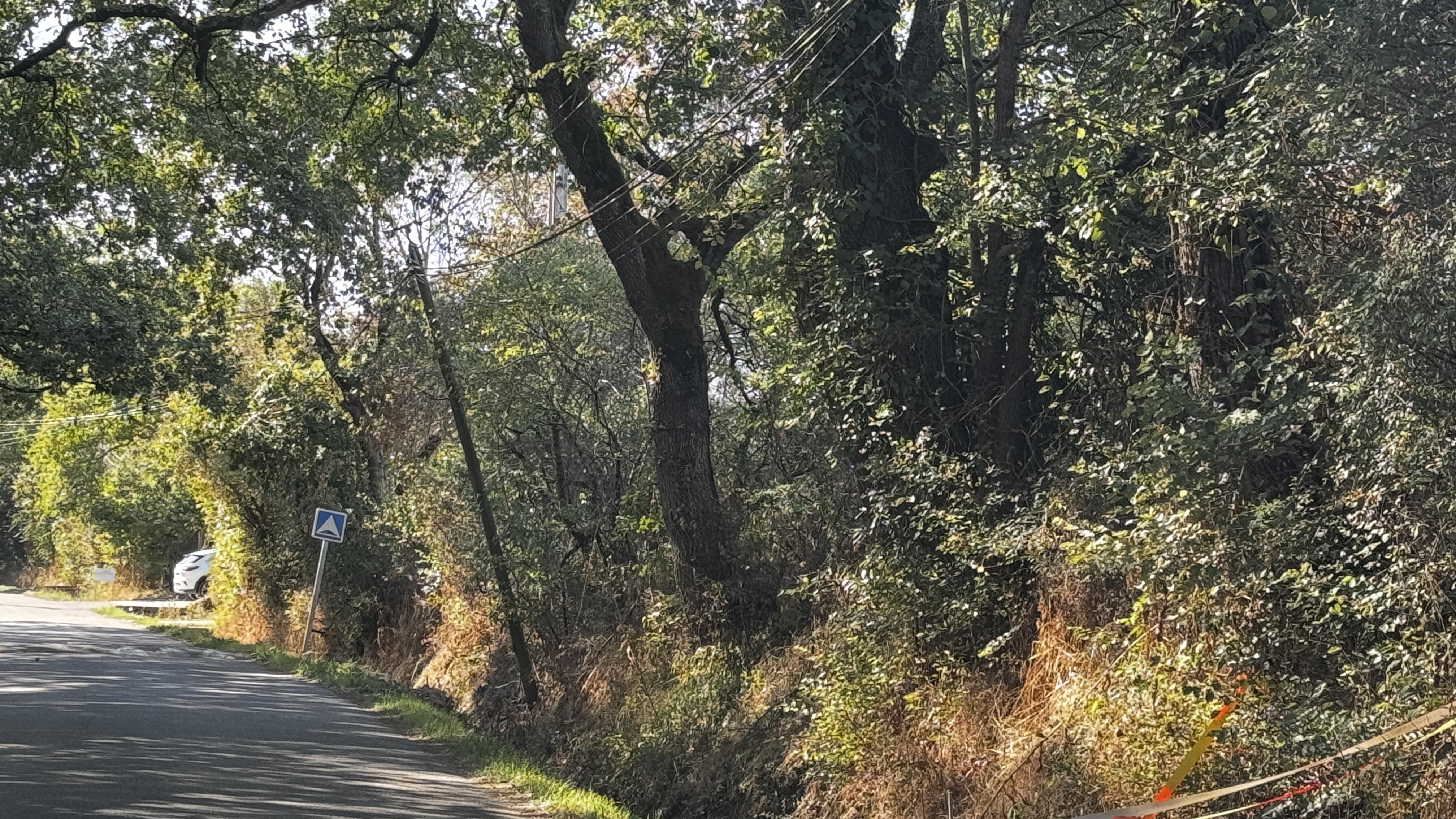 Terrain 900 m² · à Pibrac · 218 000 €