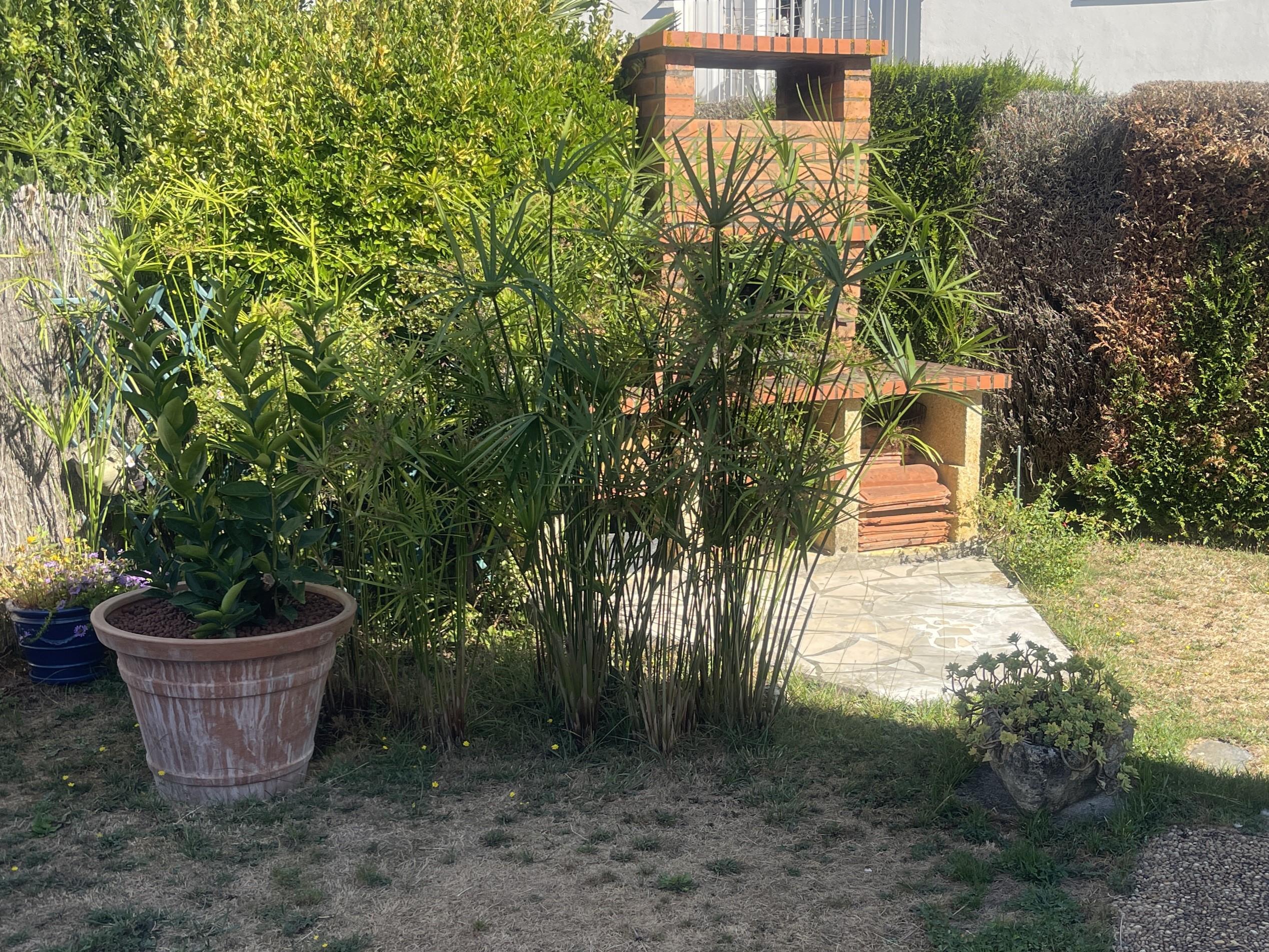 Maison 4 pièces 77 m² · à Pau · 77 m² · 239 500 €