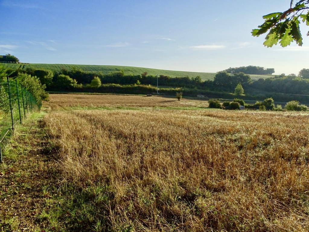 Terrain à Cazaux-Savès (32130) - Cazaux-Savès · 88 000 €