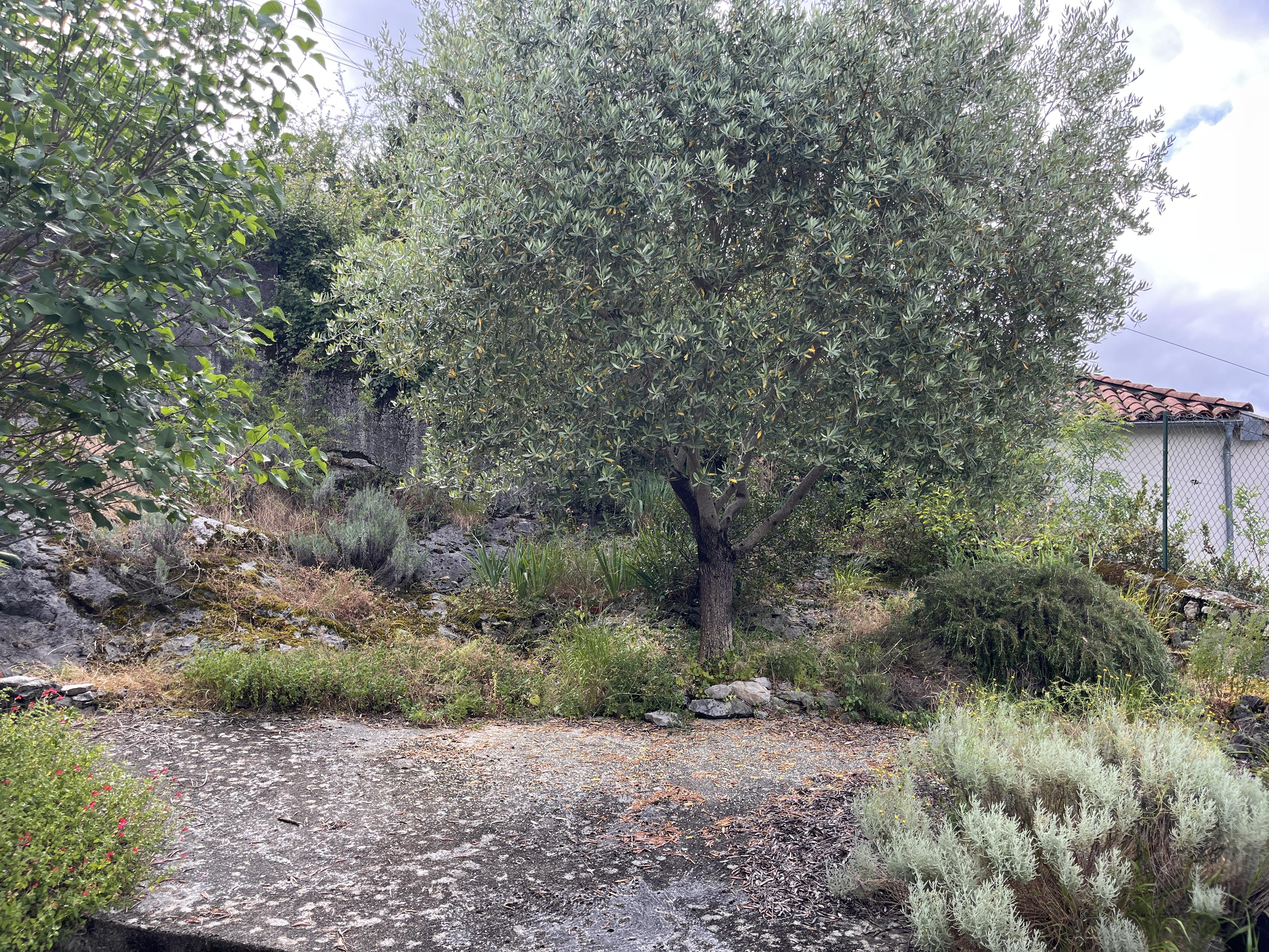 Maison 2 pièces 42 m² · à Galié · 42 m² · 50 000 €