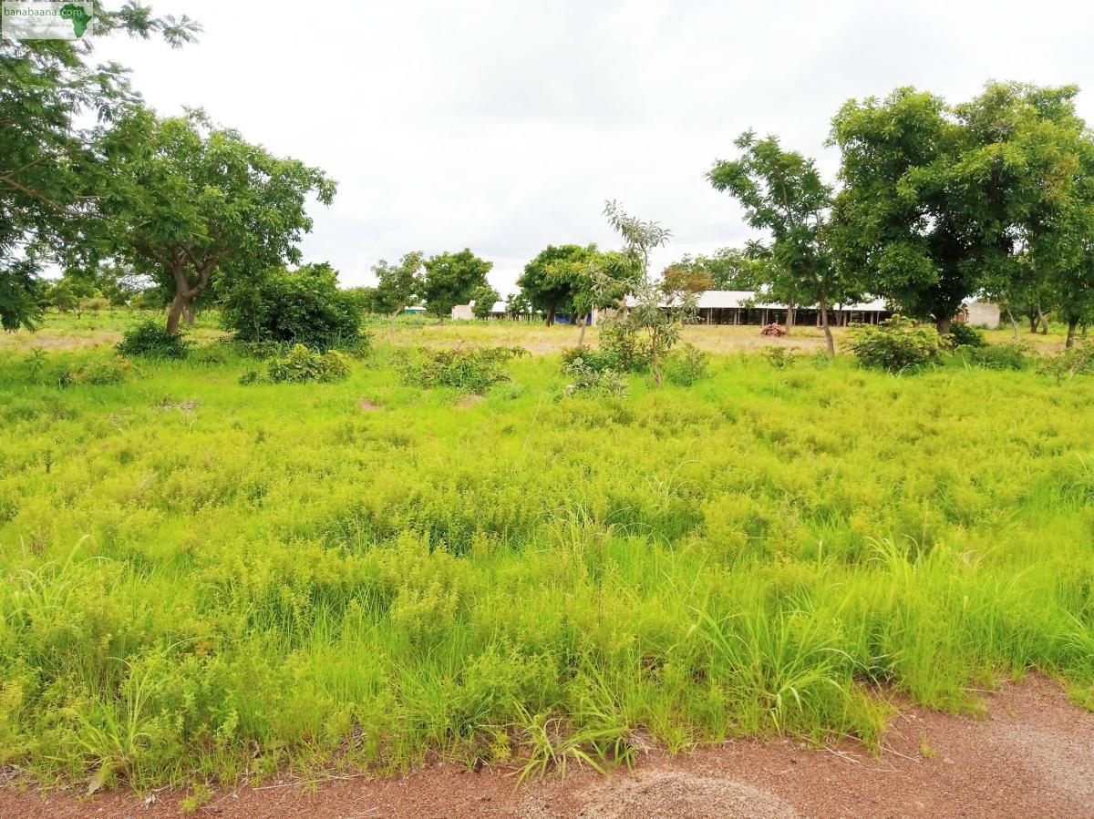Terrain 300 m² · à La Motte-d'Aigues · 300 m² · 195 000 €