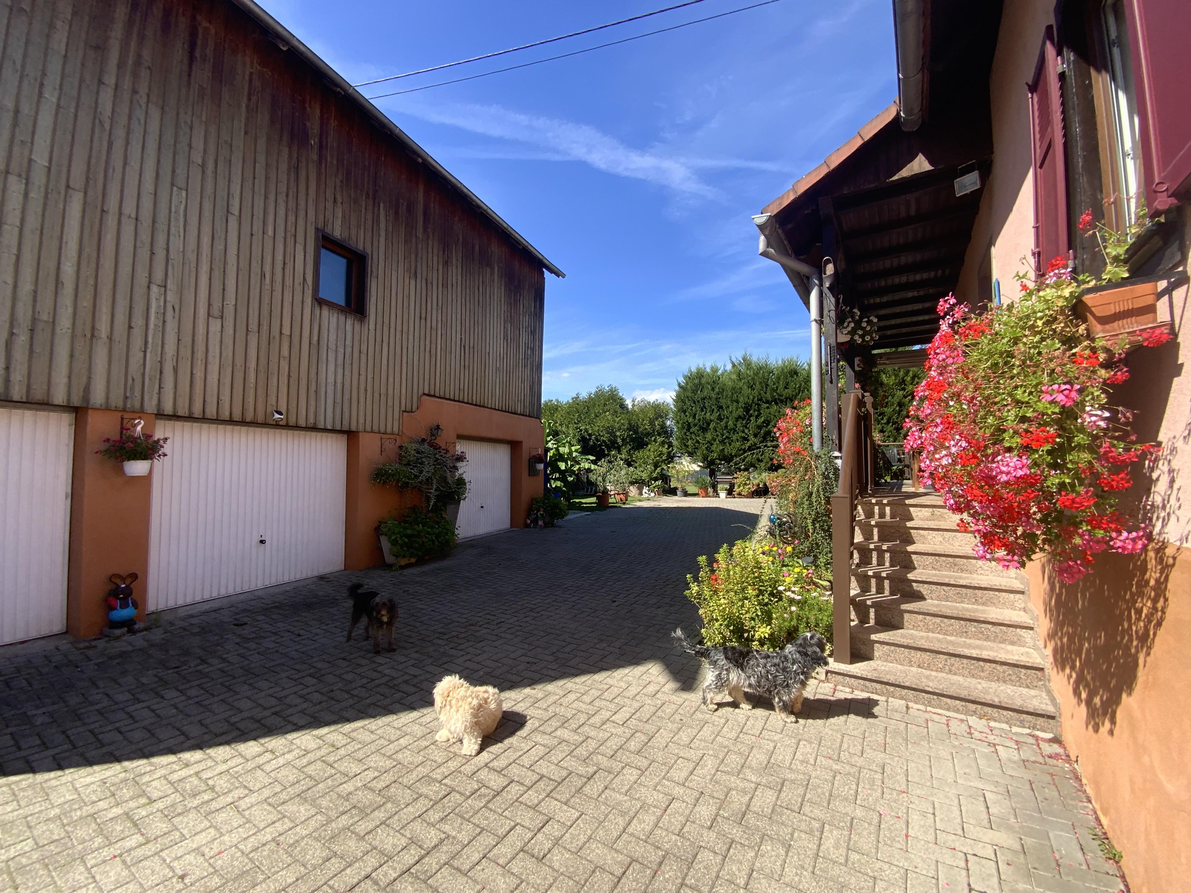 Maison 4 pièces 125 m² · à Mussig · 125 m² · 465 000 €