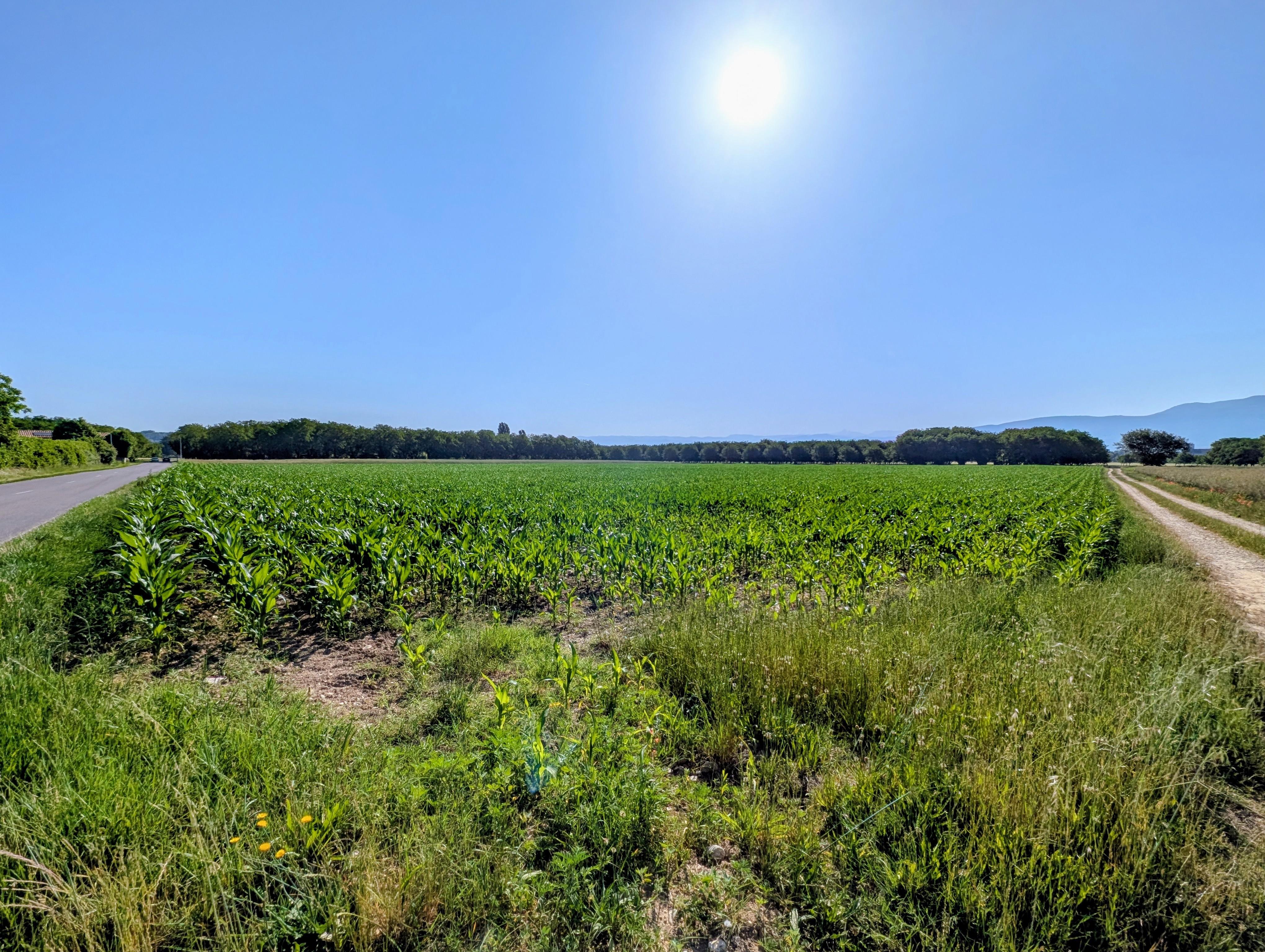 Terrain agricole à Châtillon-Saint-Jean (26750) - Châtillon-Saint-Jean · 28 000 €