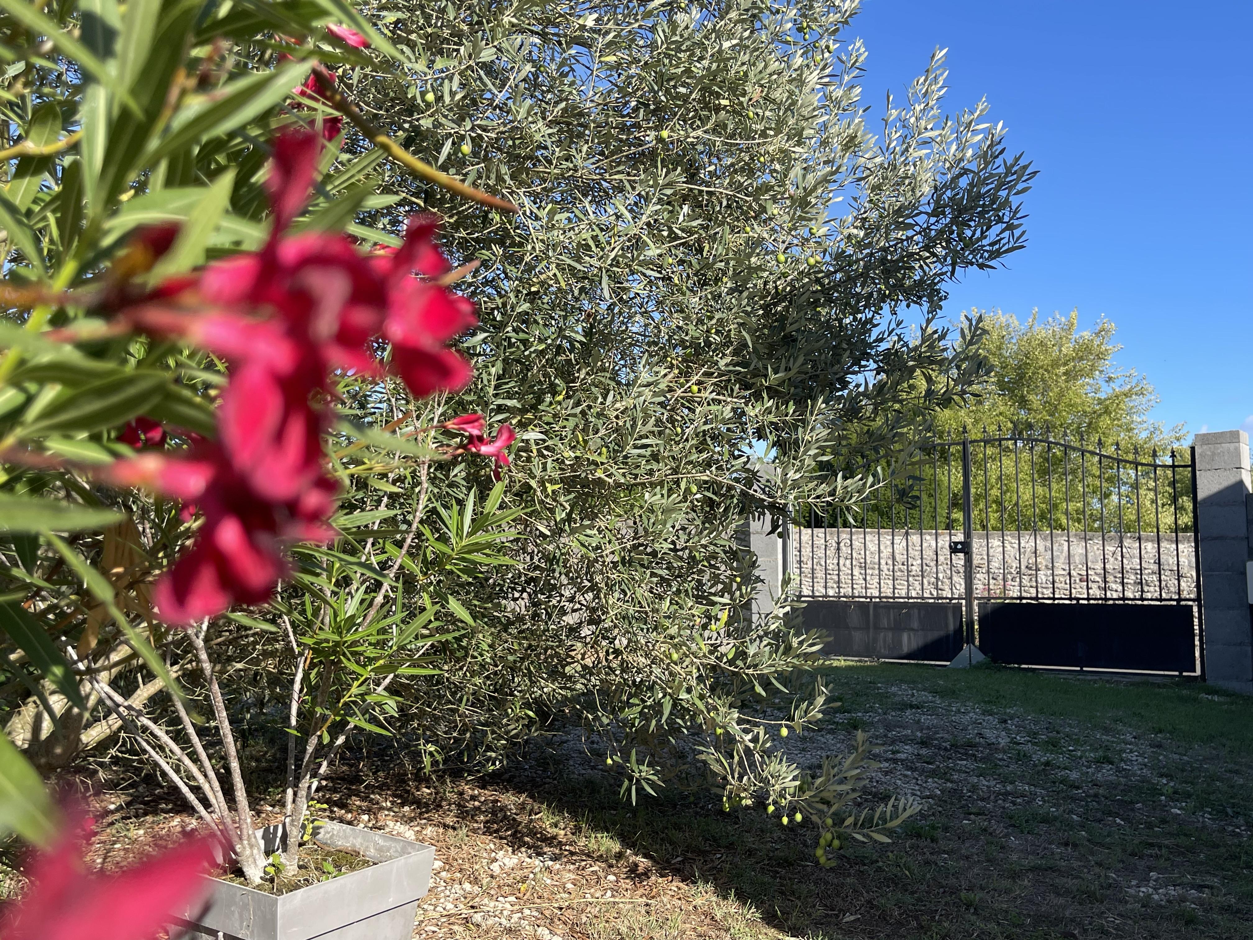 Maison 4 pièces 76 m² · à Moëze · 76 m² · 184 000 €