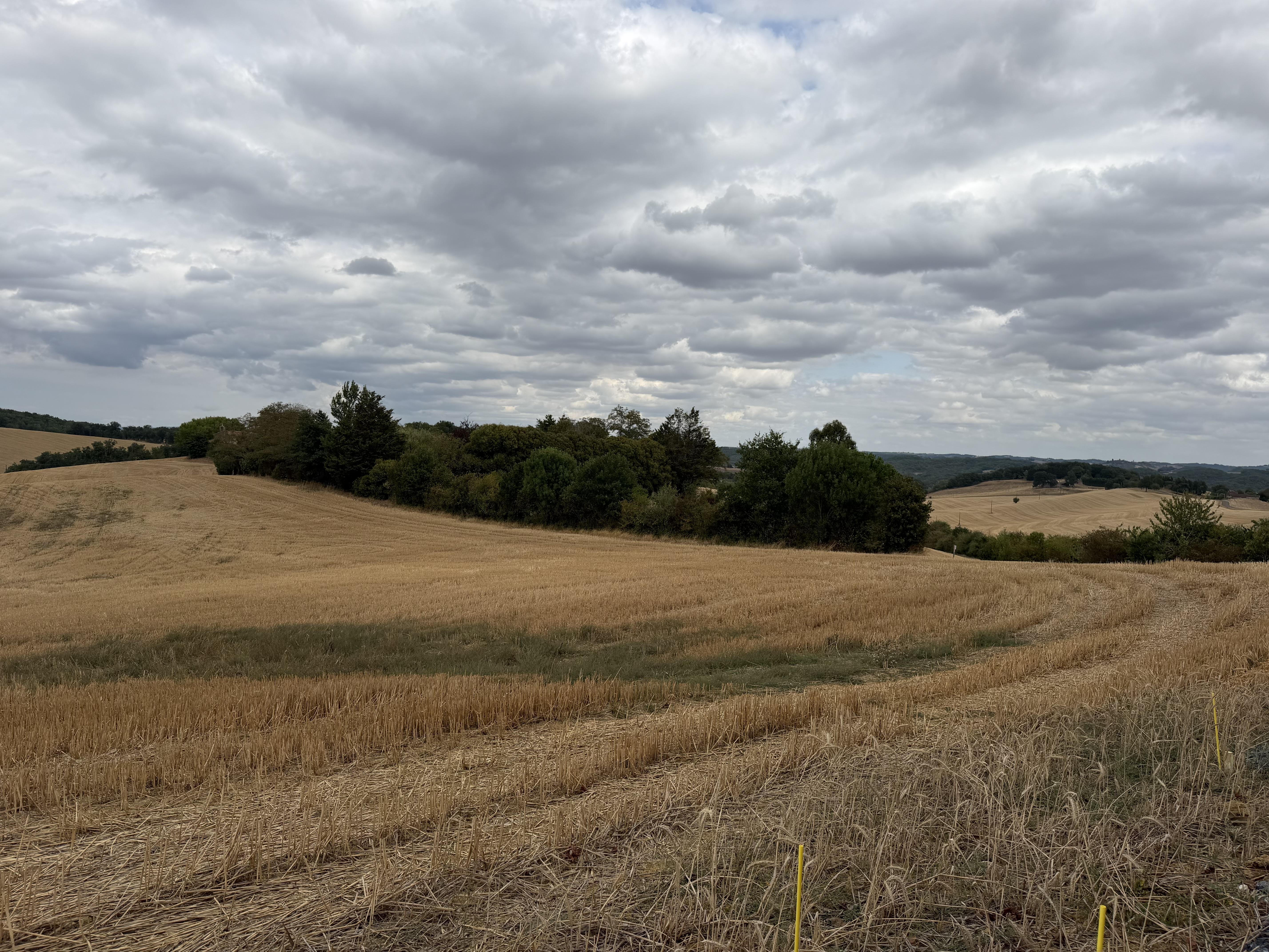 Terrain constructible à Labéjan (32300) - Labéjan · 88 000 €