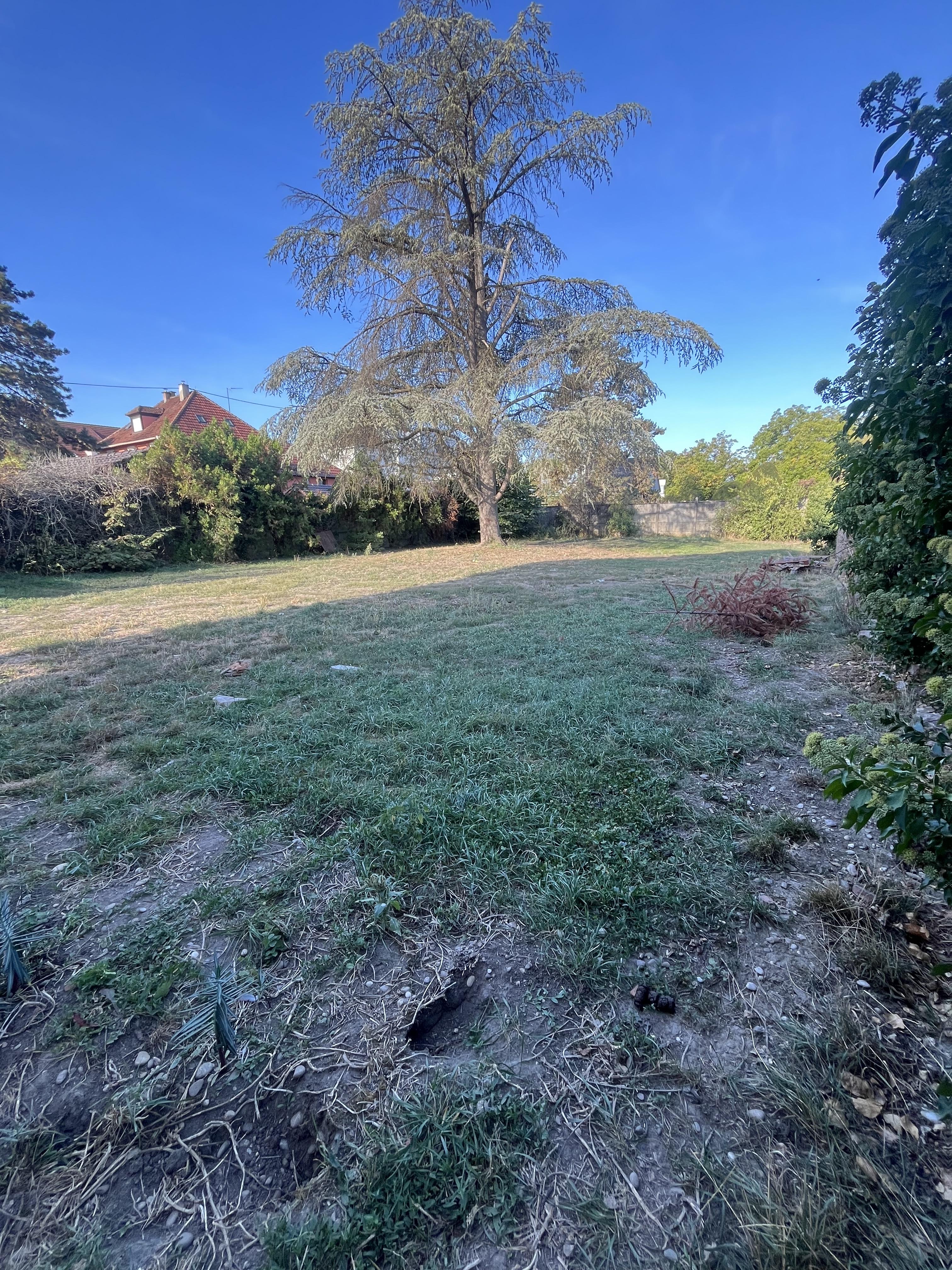 Maison 62 m² · à Sundhouse · 62,4 m² · 195 000 €