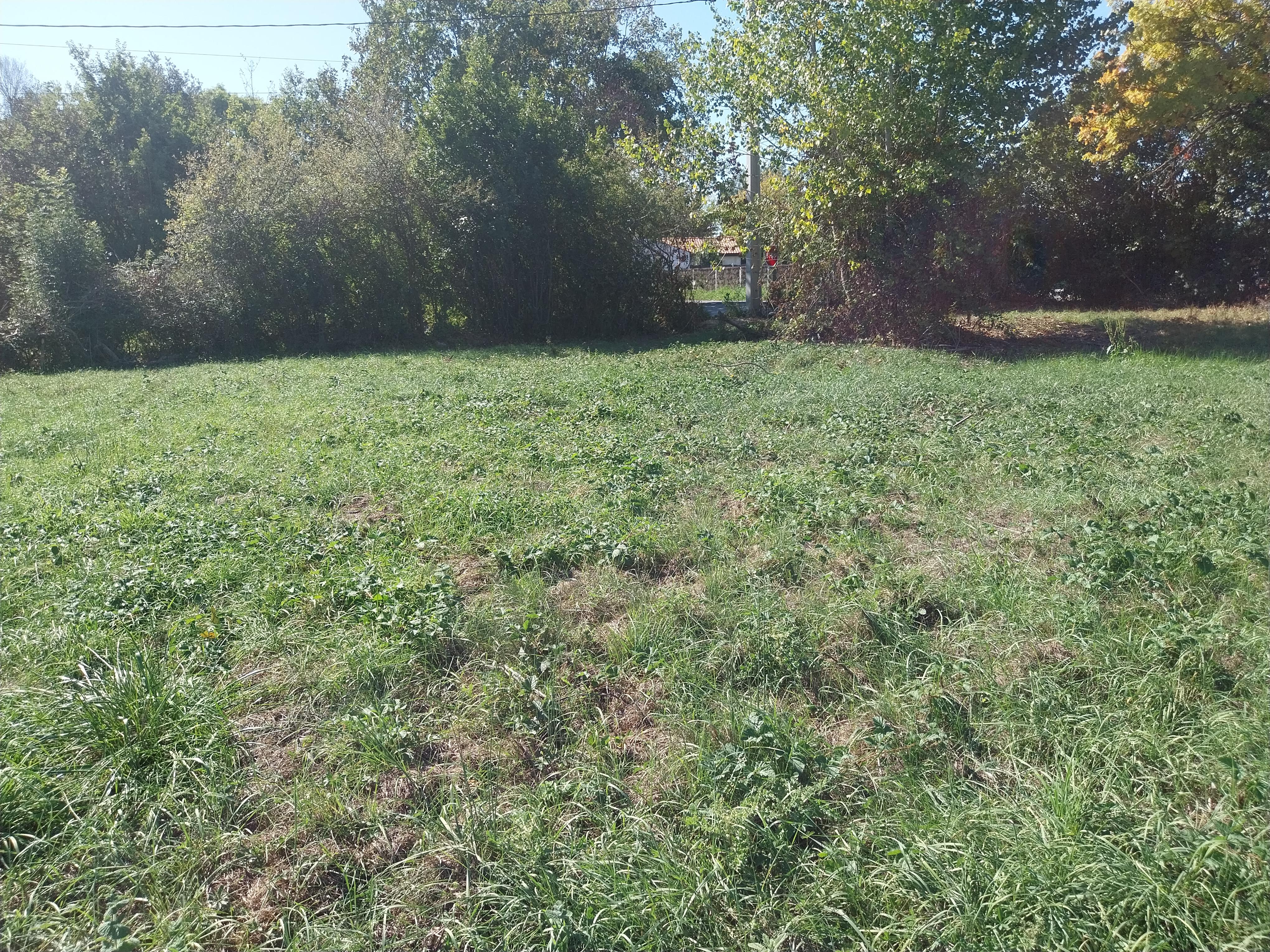 Longère à Soullans (85300) - 60 m² - Soullans · 60 m² · 85 800 €
