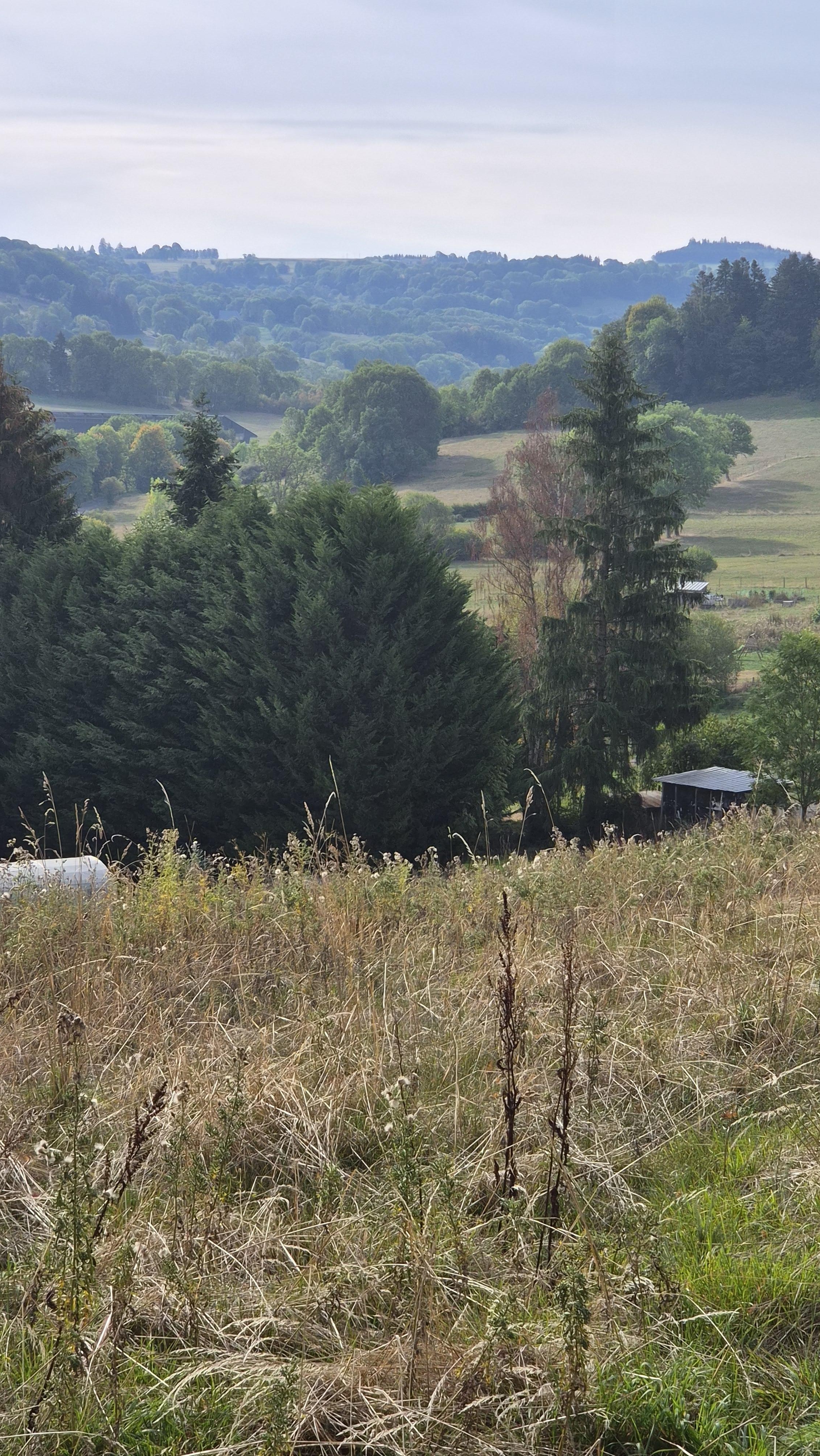 Terrain constructible à Saint-Bonnet-près-Orcival (63210) - Saint-Bonnet-près-Orcival · 92 000 €