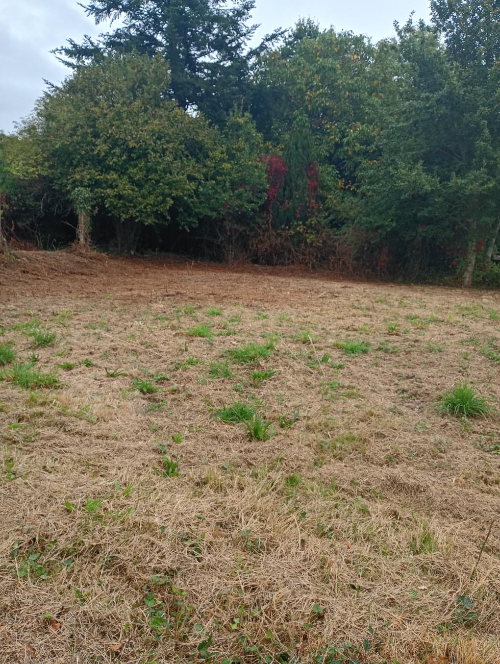 Terrain 568 m² · à Glomel · 16 000 €