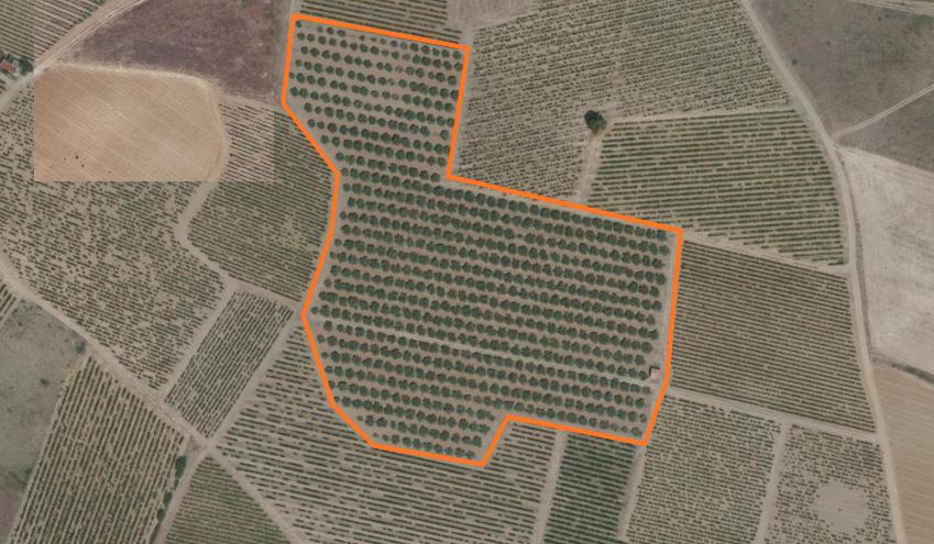 Terrain 22758 m² · à Azille · 79 000 €
