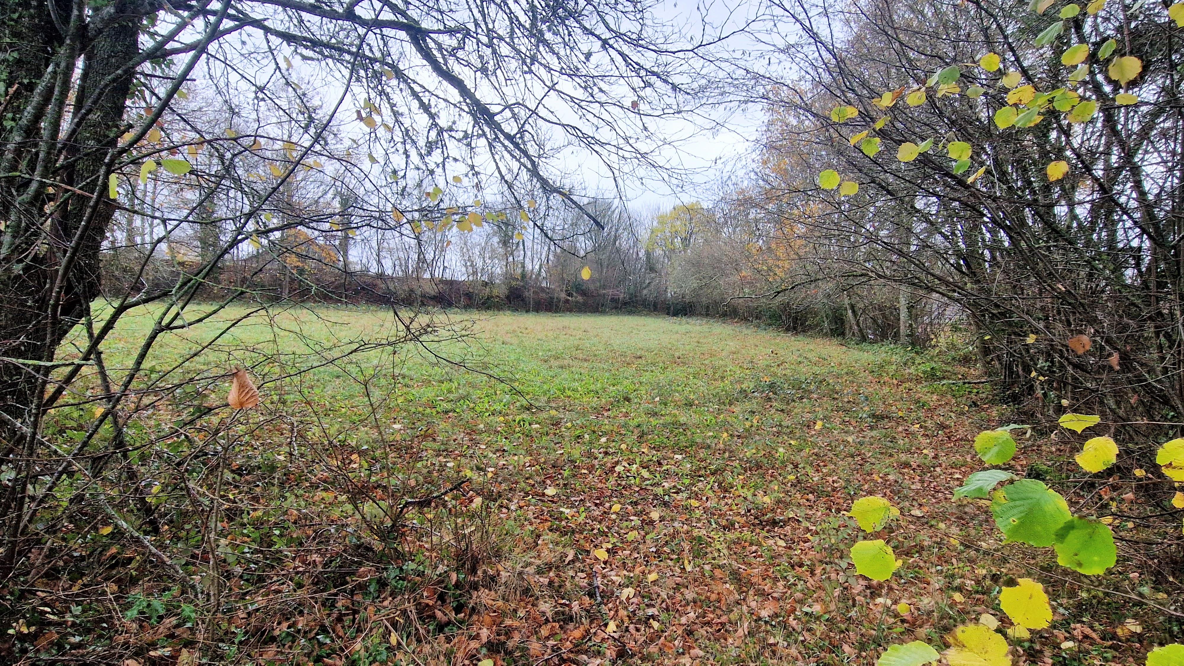Terrain 1100 m² · à Chapdes-Beaufort · 40 000 €