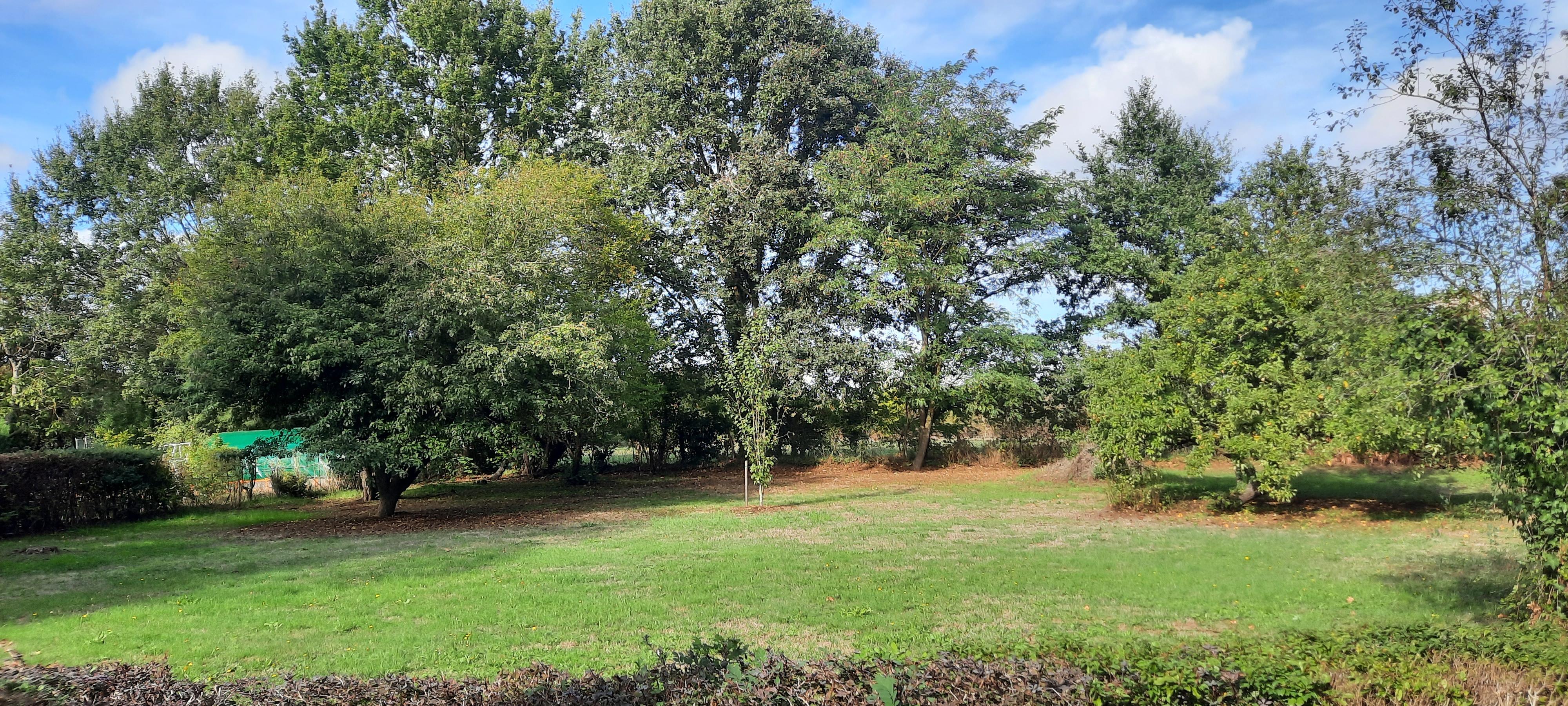 Maison 5 pièces 86 m² · à Briollay · 86 m² · 156 750 €