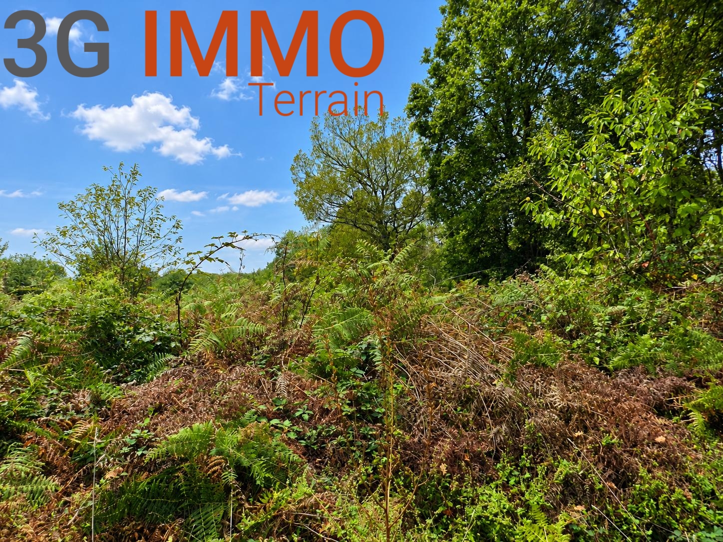 Terrain 12109 m² · à Baudignan · 85 200 €