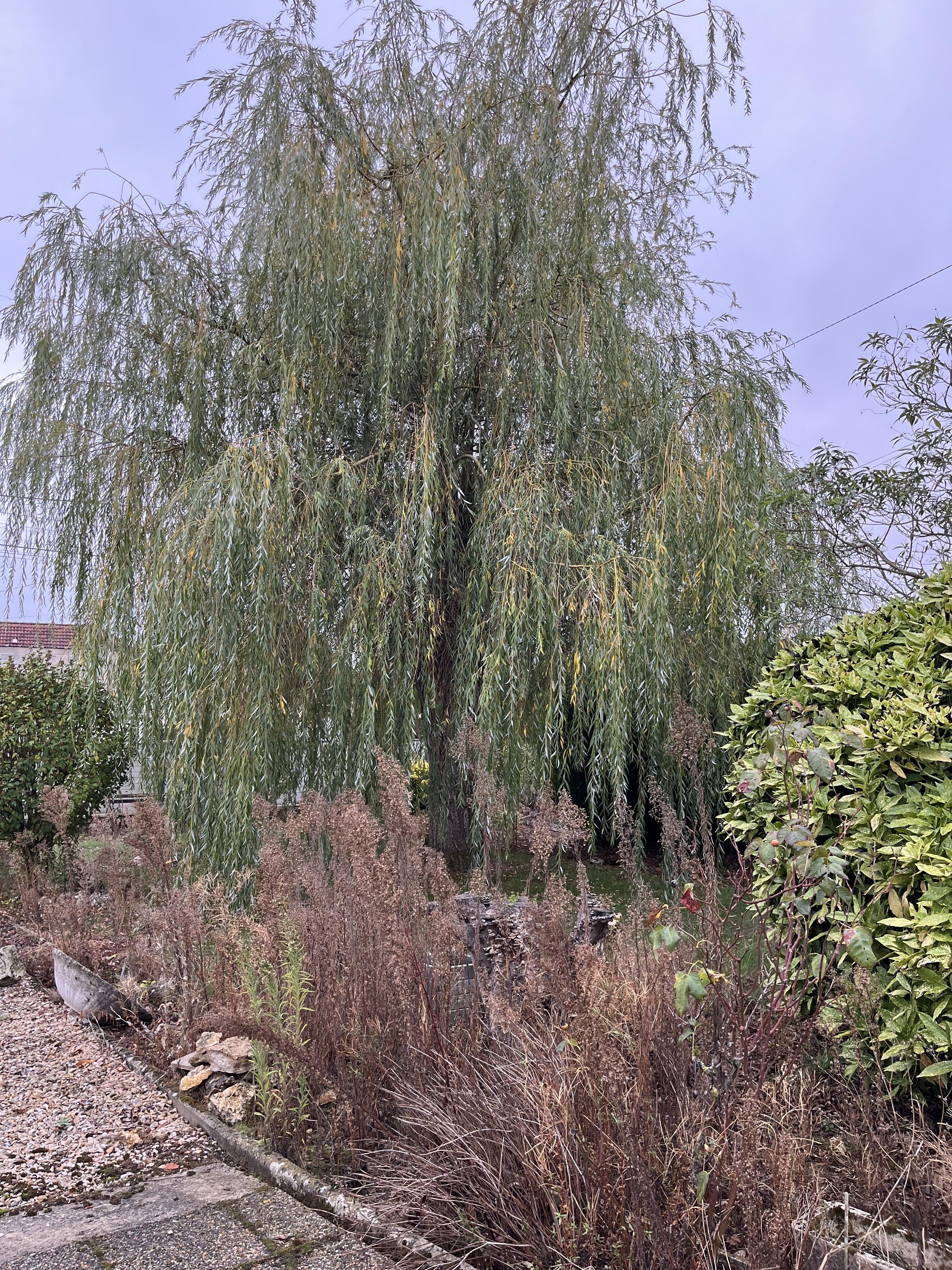 Maison 4 pièces 65 m² · à Bethon · 65 m² · 71 000 €