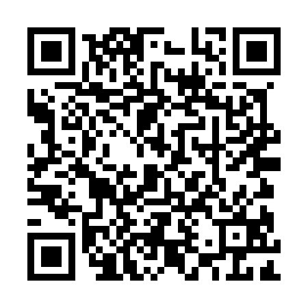 QR Code Mini-site