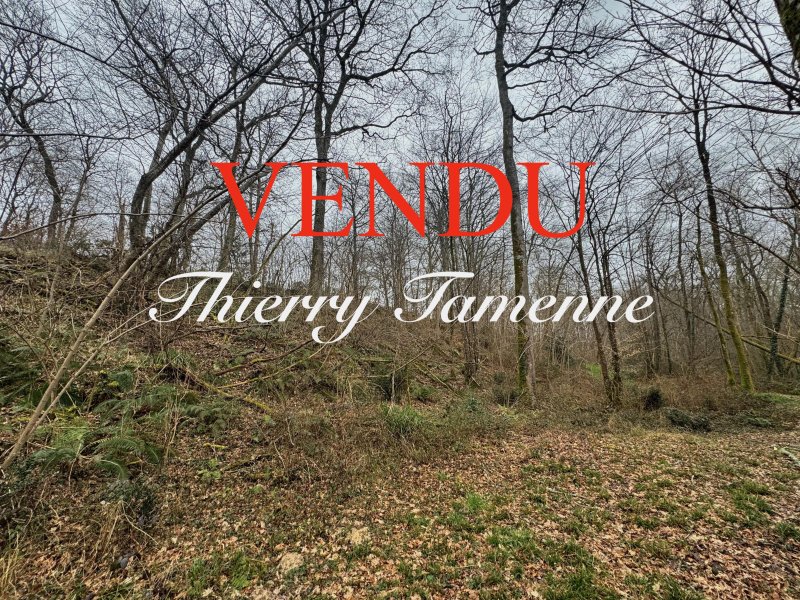 Terrain à Escalans (40310)