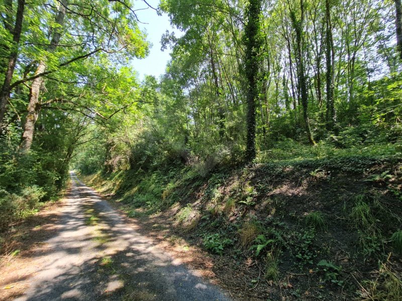 Terrain à Roquecourbe (81210)