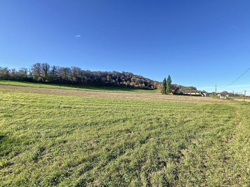 Terrain constructible à Monein (64360)
