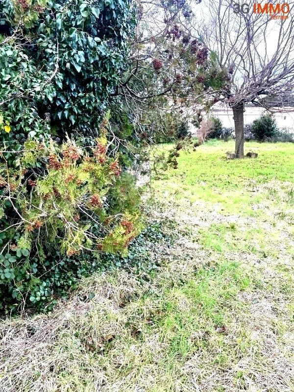 Terrain à Uchaux (84100) - Photo 2