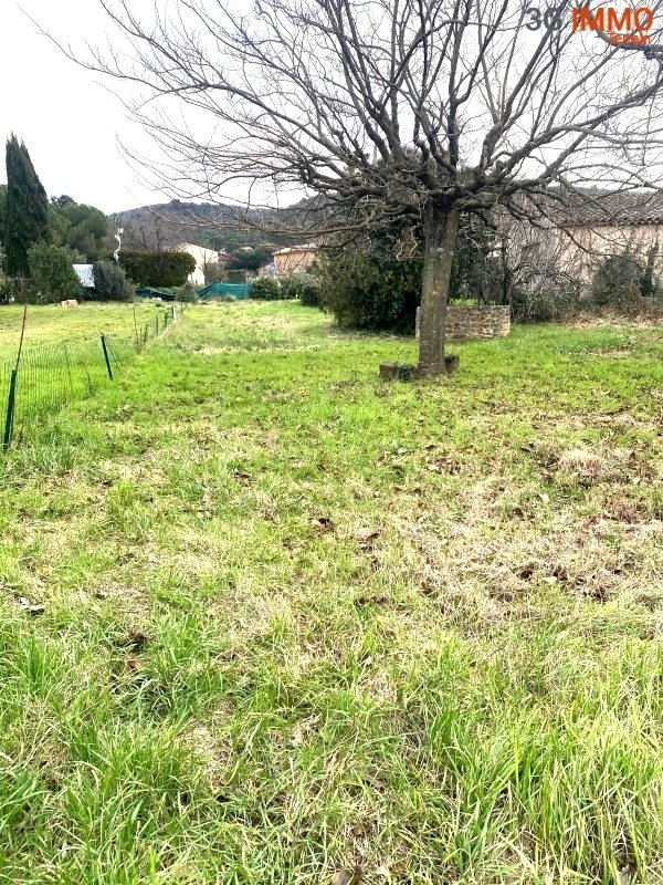 Terrain à Uchaux (84100) - Photo 3
