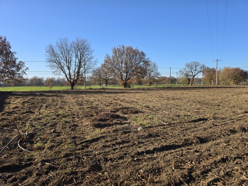 Terrain constructible à Cambounet-sur-le-Sor (81580)