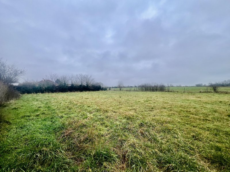 Terrain à Le Chautay (18150) - Photo 3