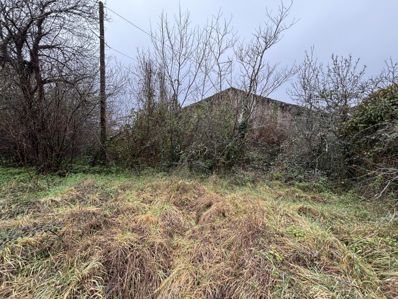 Maison à Cézac (33620)