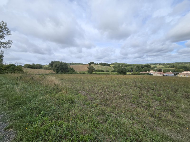 Terrain de loisirs à Brousse (81440) - Photo 2