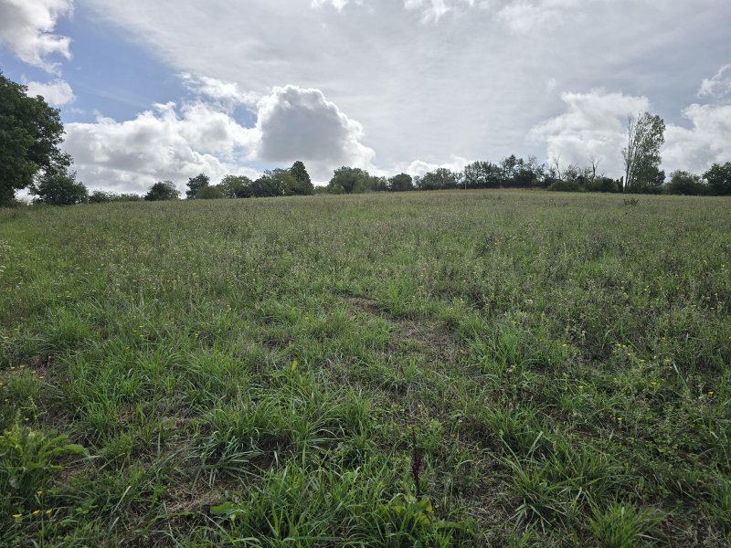 Terrain de loisirs à Brousse (81440) - Photo 4