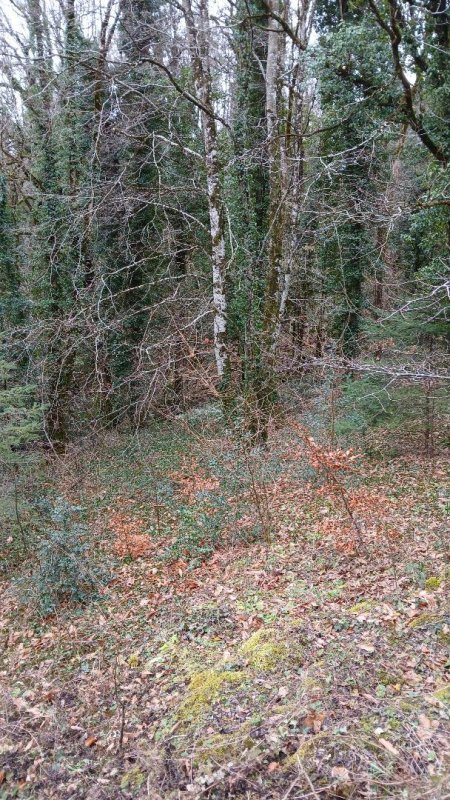 Photo mobile 1