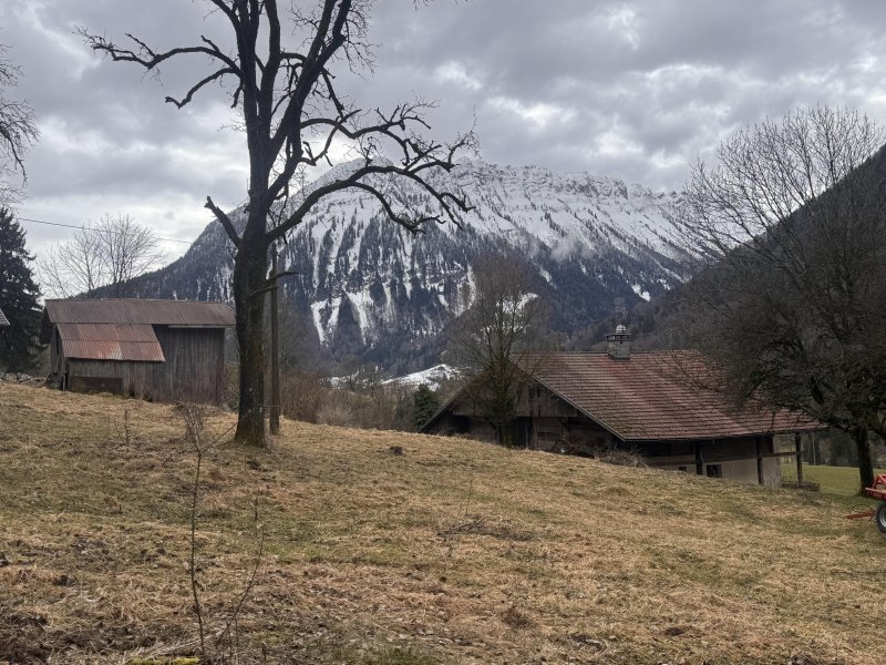 Maison et grand terrain à Glières-Val-de-Borne (74130) - Photo 5
