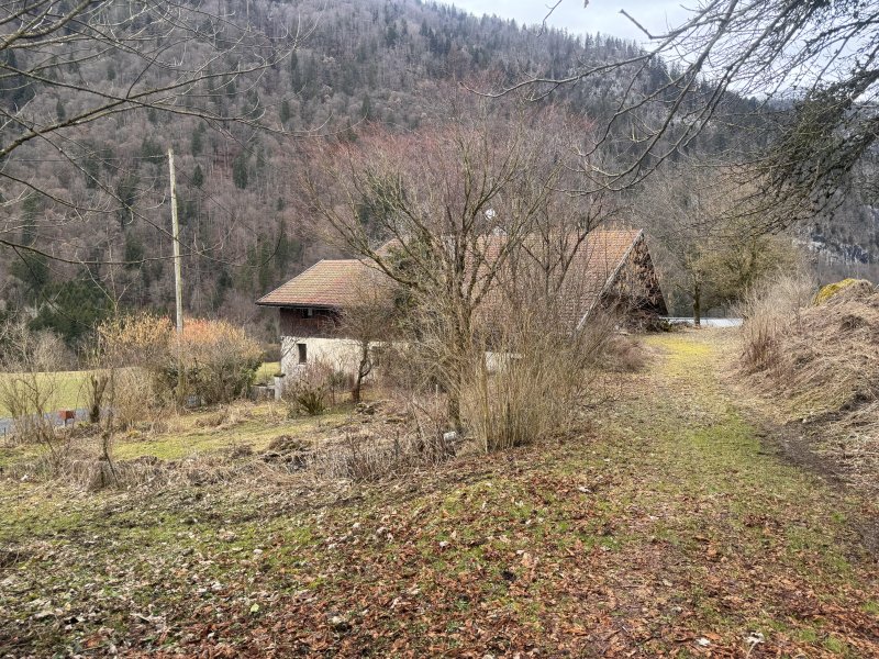 Maison et grand terrain à Glières-Val-de-Borne (74130) - Photo 3