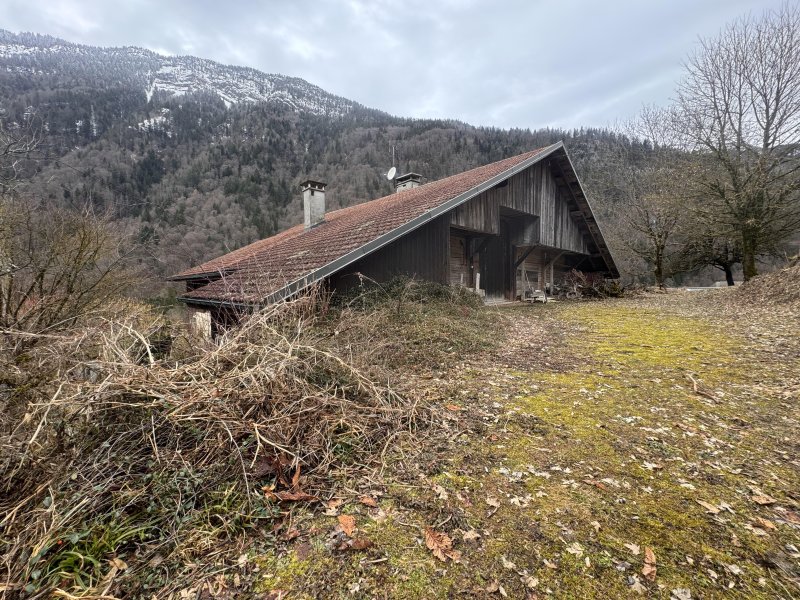 Maison et grand terrain à Glières-Val-de-Borne (74130) - Photo 4
