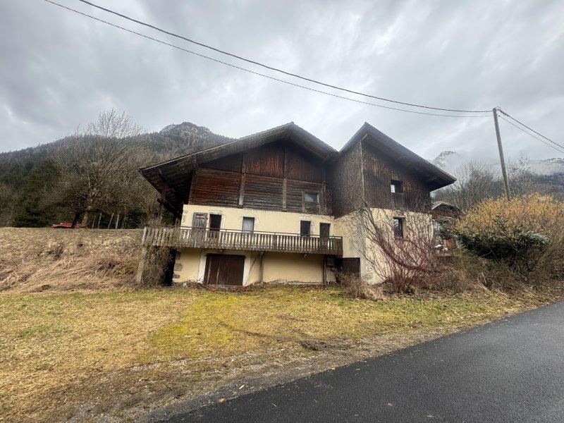 Maison et grand terrain à Glières-Val-de-Borne (74130)