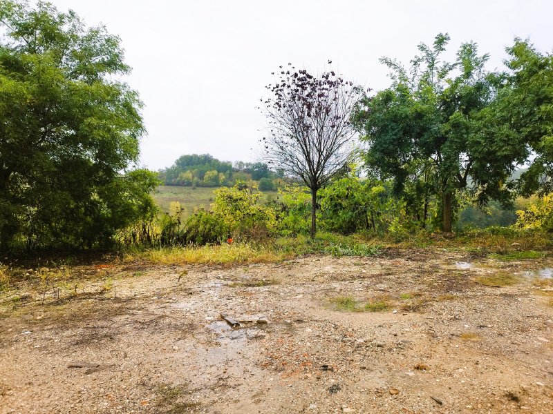 Terrain constructible à Molières (82220)